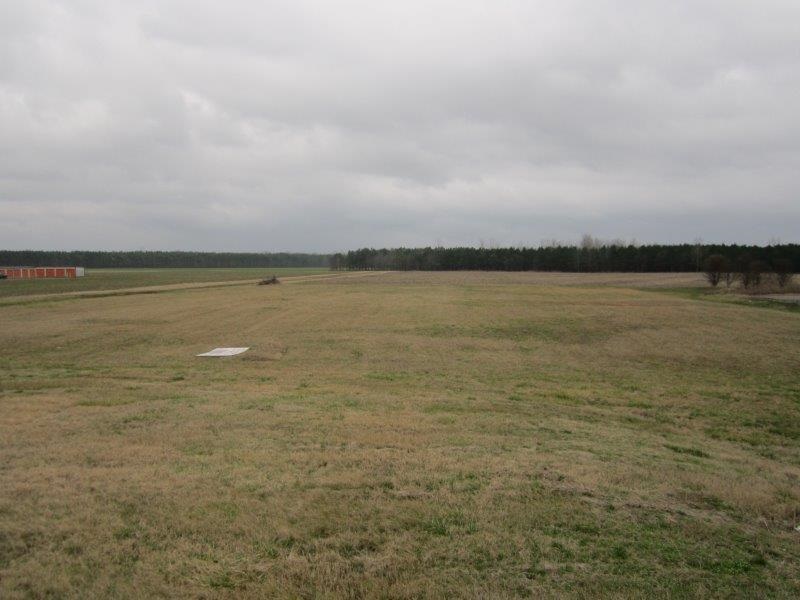 32 51, Ripley, TN, 38063