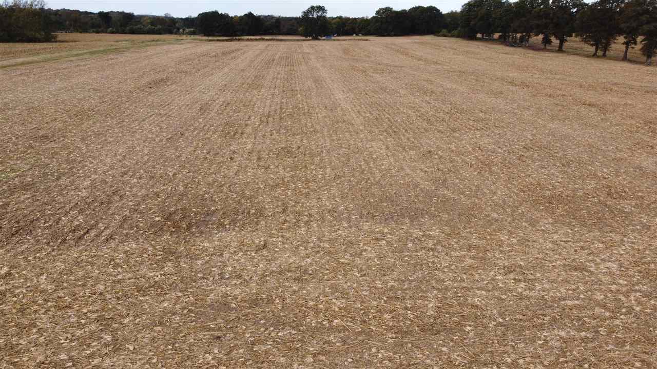 00 HWY 51, Halls, TN, 38040