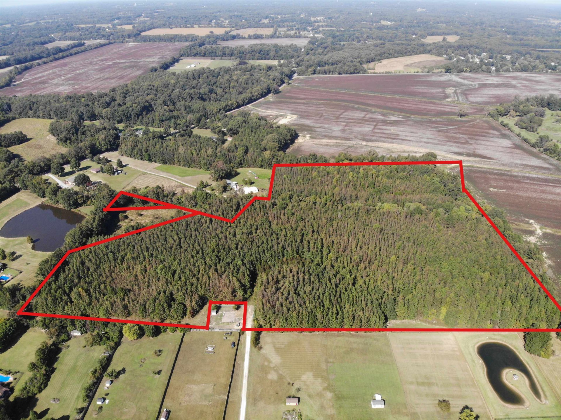 BOLTON WAY, Millington, TN, 38053