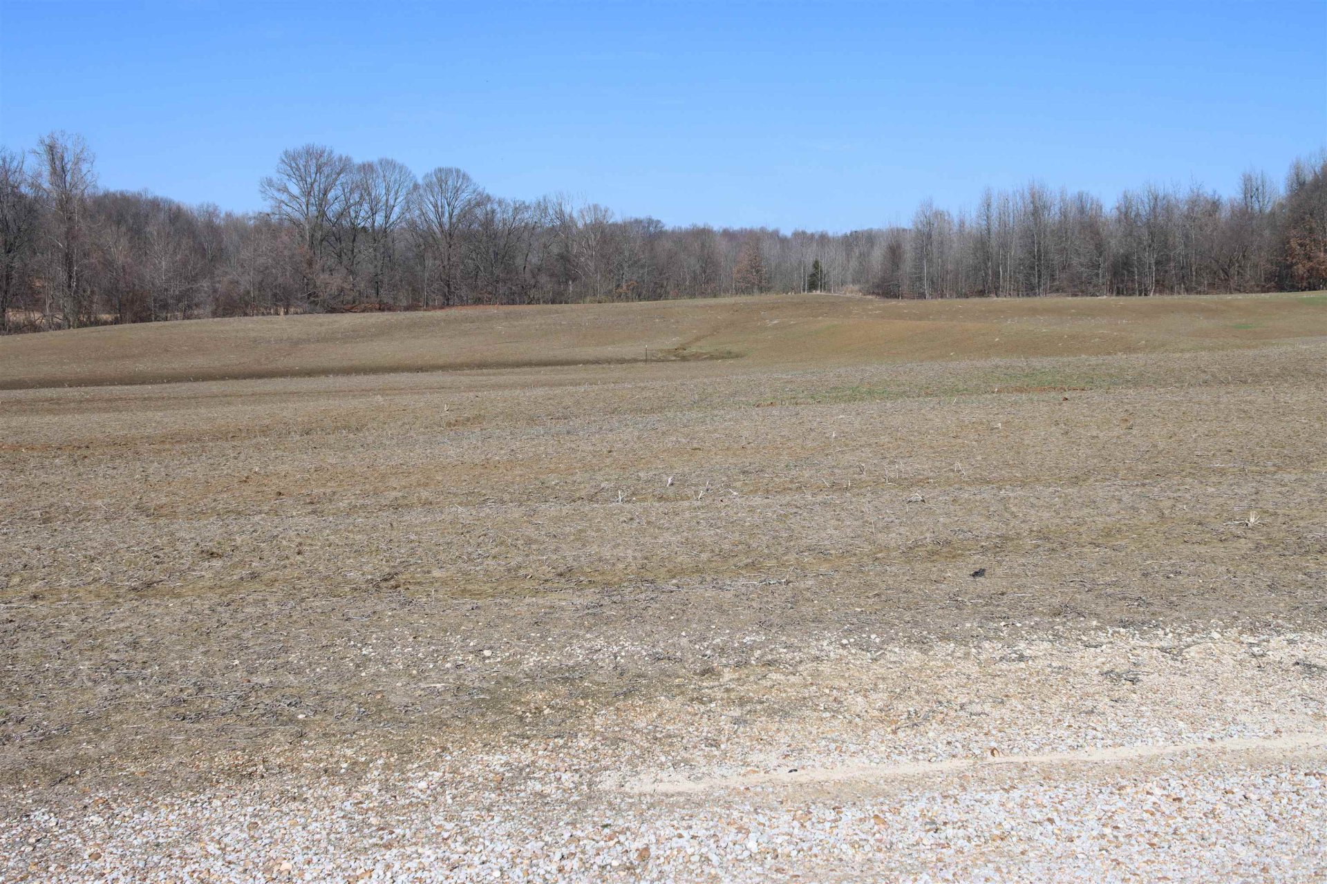 LOT 3 HWY 51, Ripley, TN, 38063