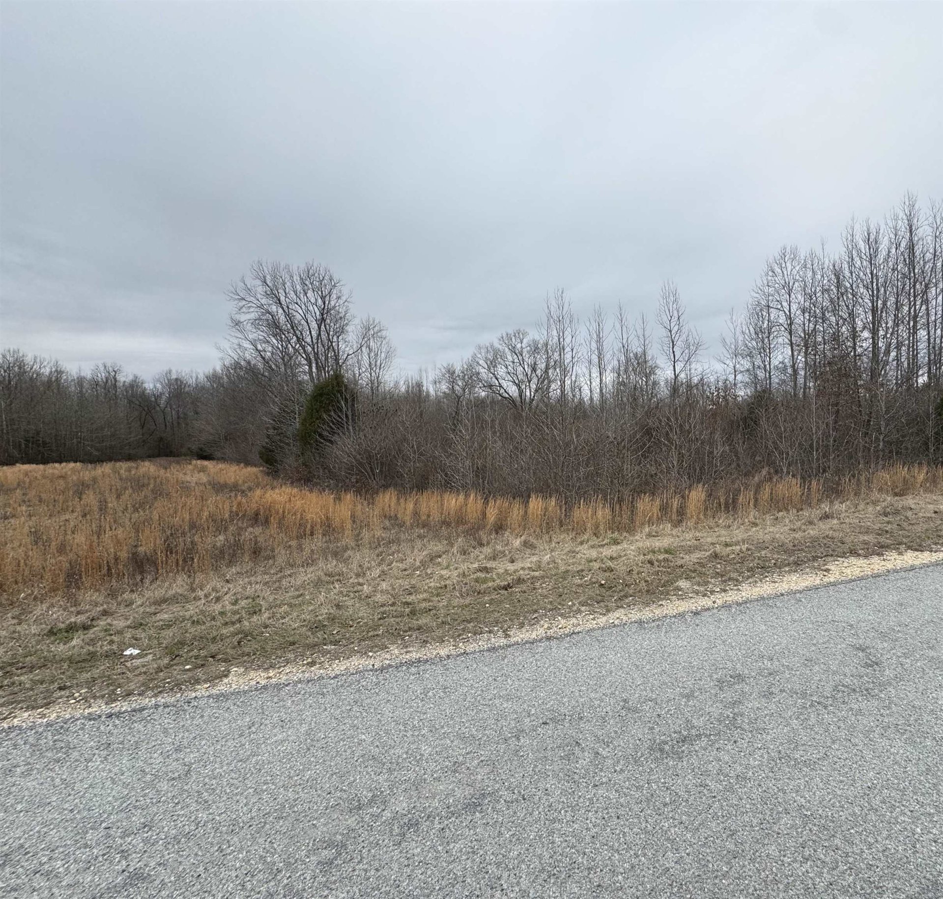 COUNTY LAKE, Trenton, TN, 38382