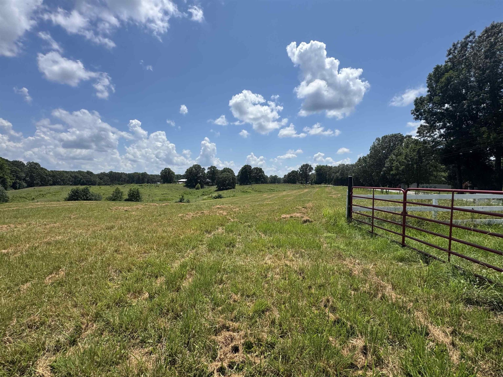15ACRES MONK HOUSE, Somerville, TN, 38068