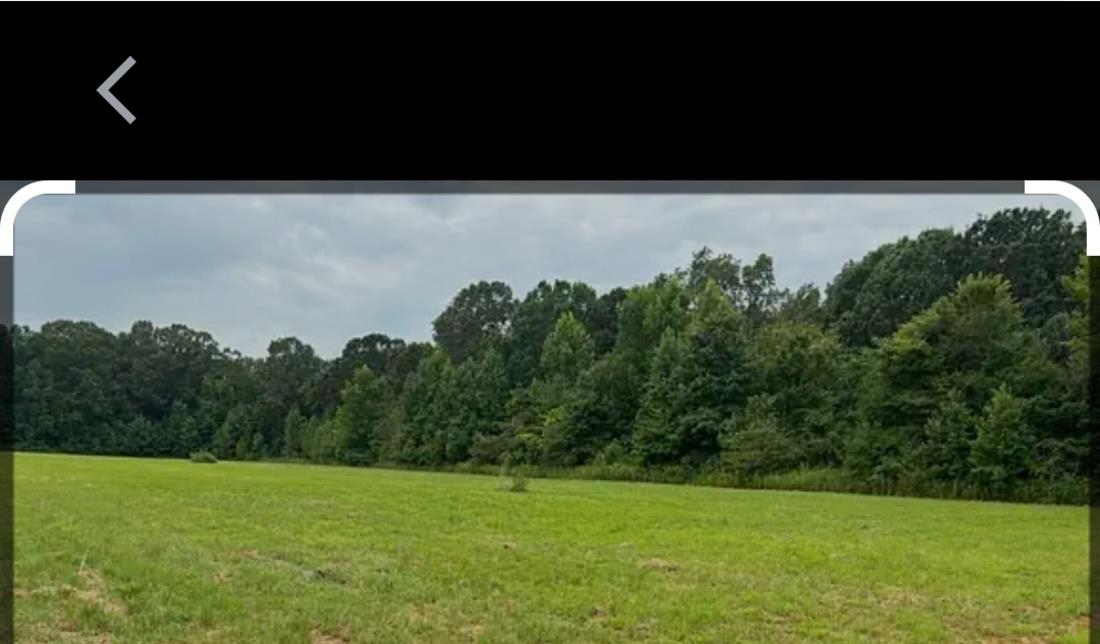 JOE SANDERLIN, Stanton, TN, 38012