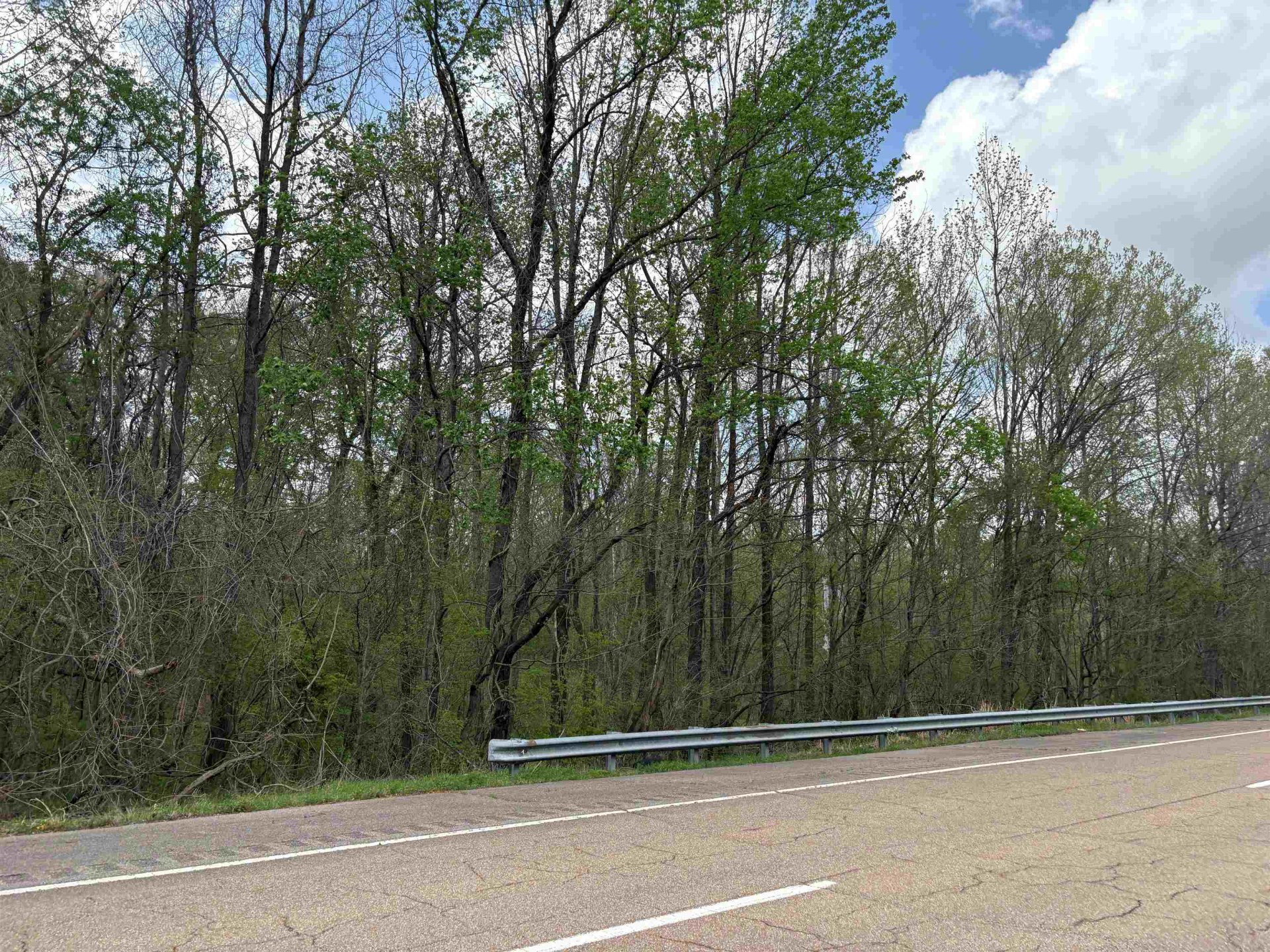 WATKINS, Millington, TN, 38053