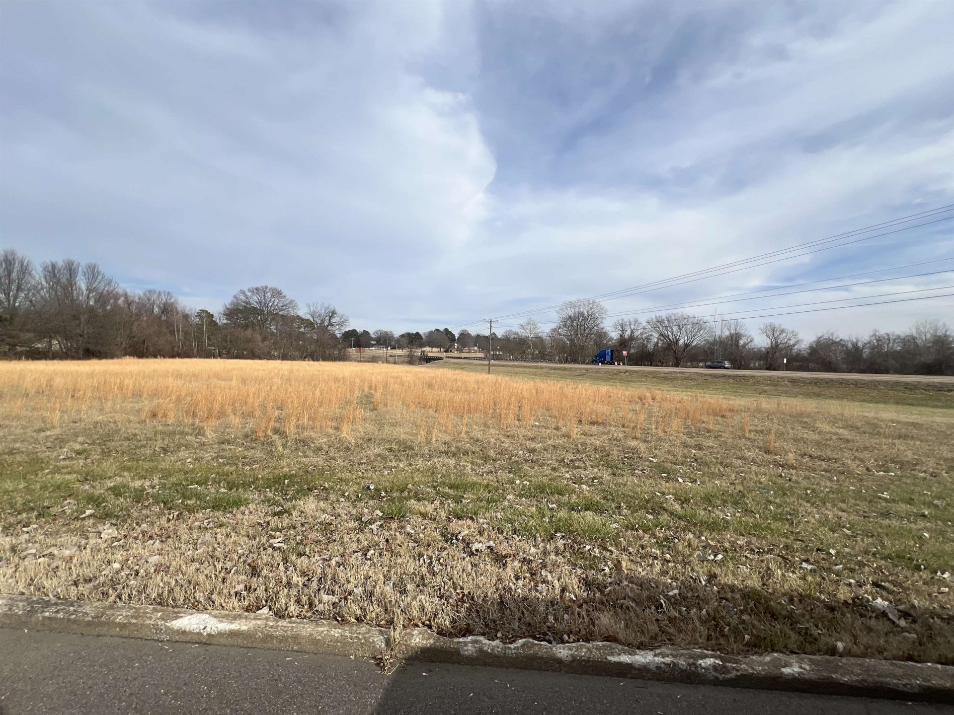 COLLINS, Ripley, TN, 38063