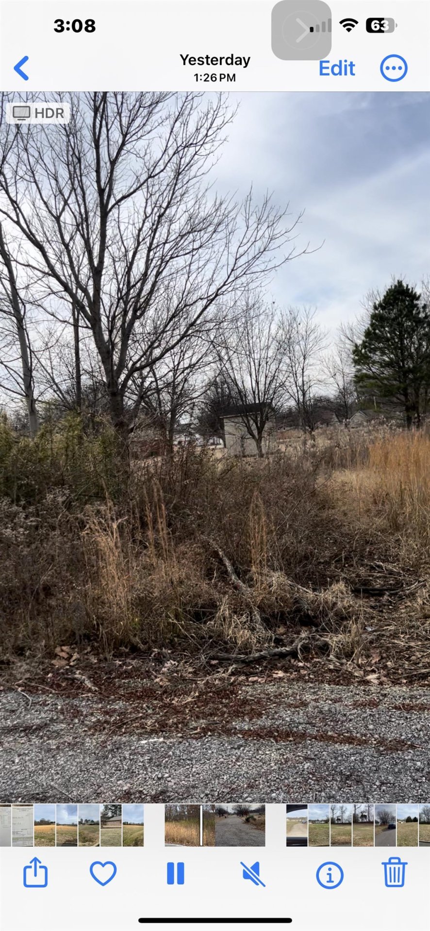 JOHNSTON, Ripley, TN, 38063