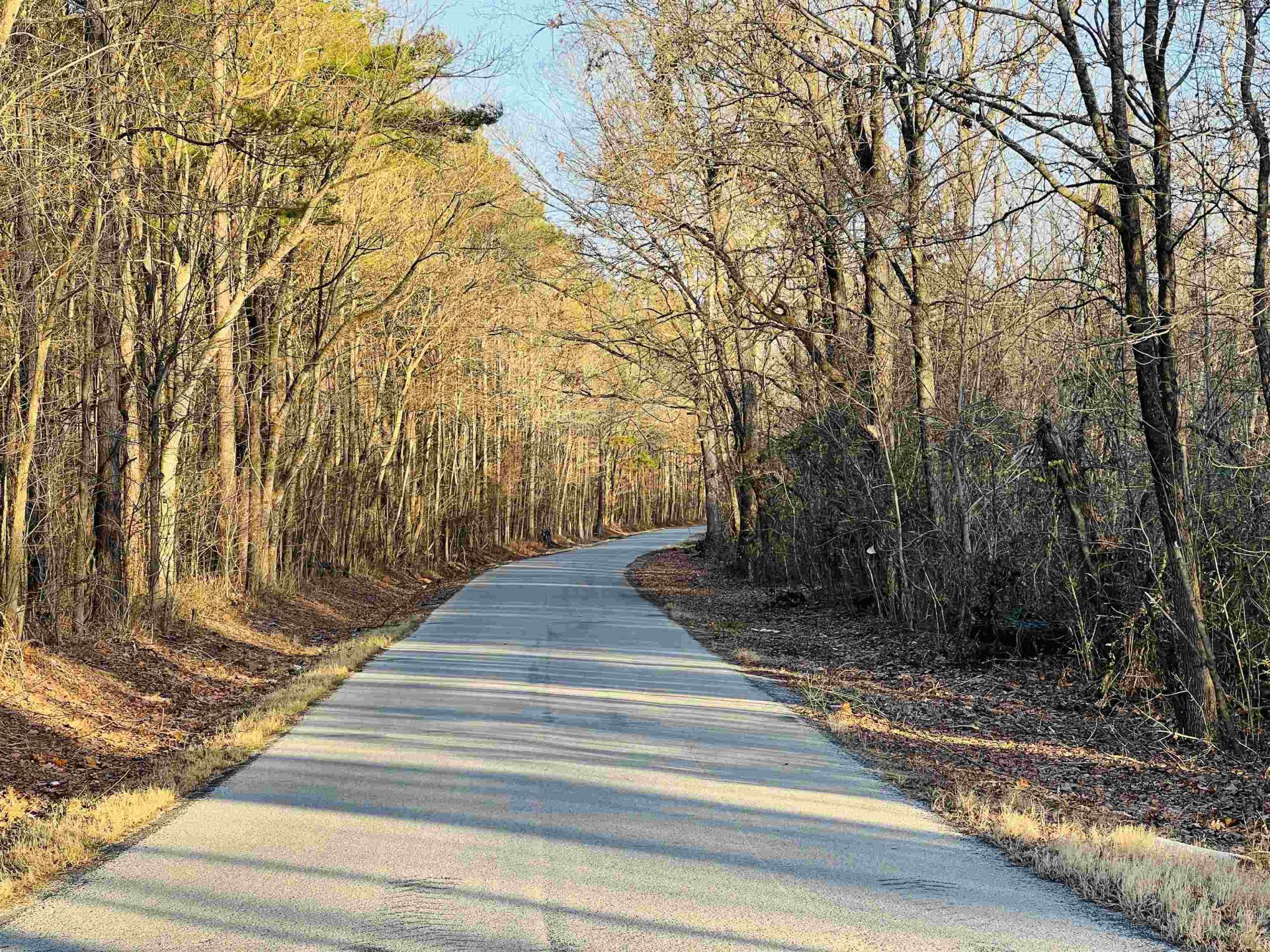 SELLERS, Oakland, TN, 38060