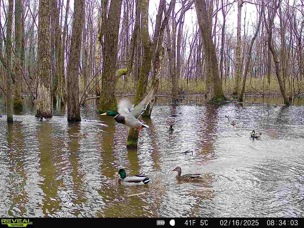 483 PHILLIPS 131, Marvell, AR, 72366