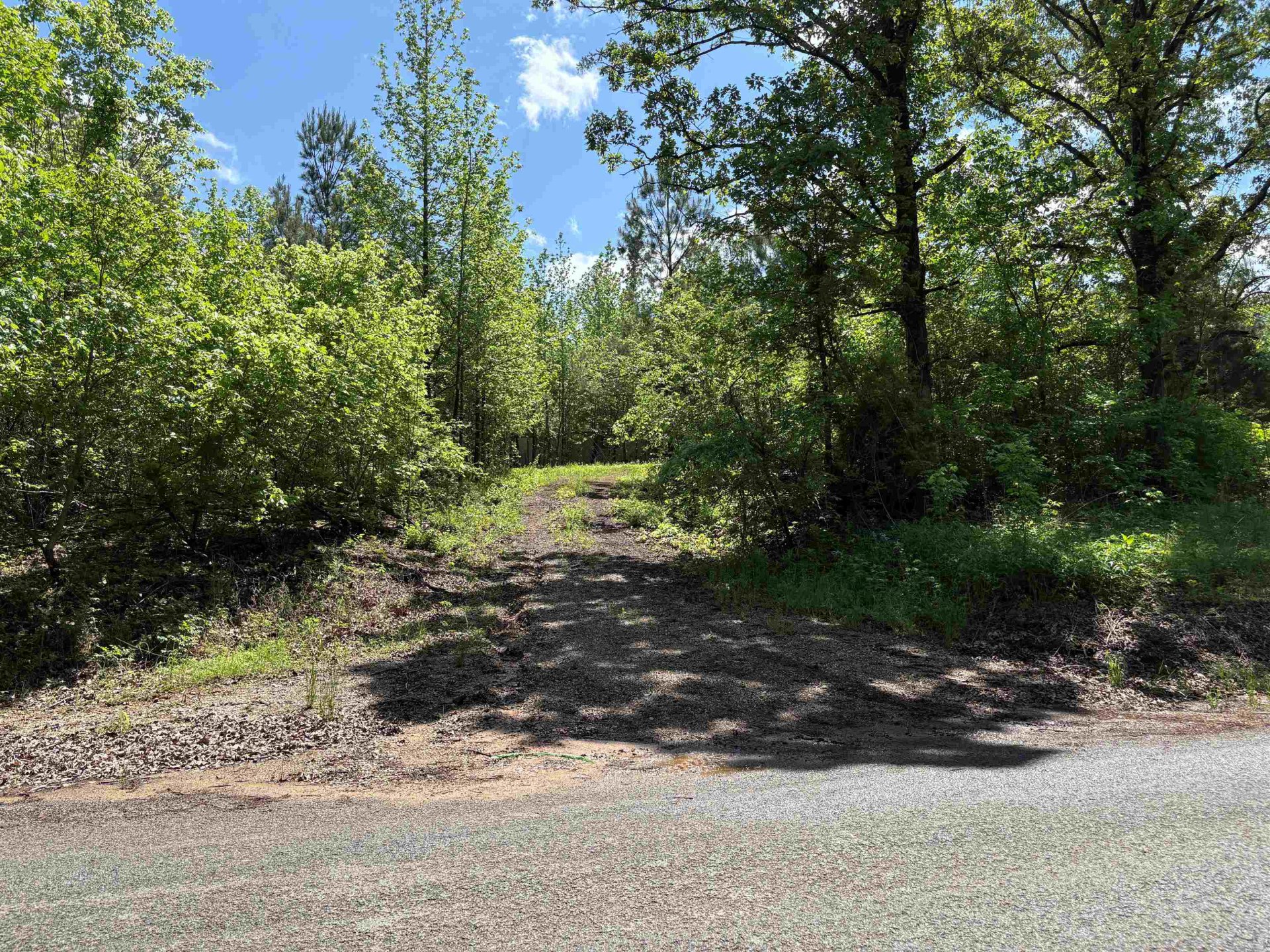 435 DUSCOE, Somerville, TN, 38068