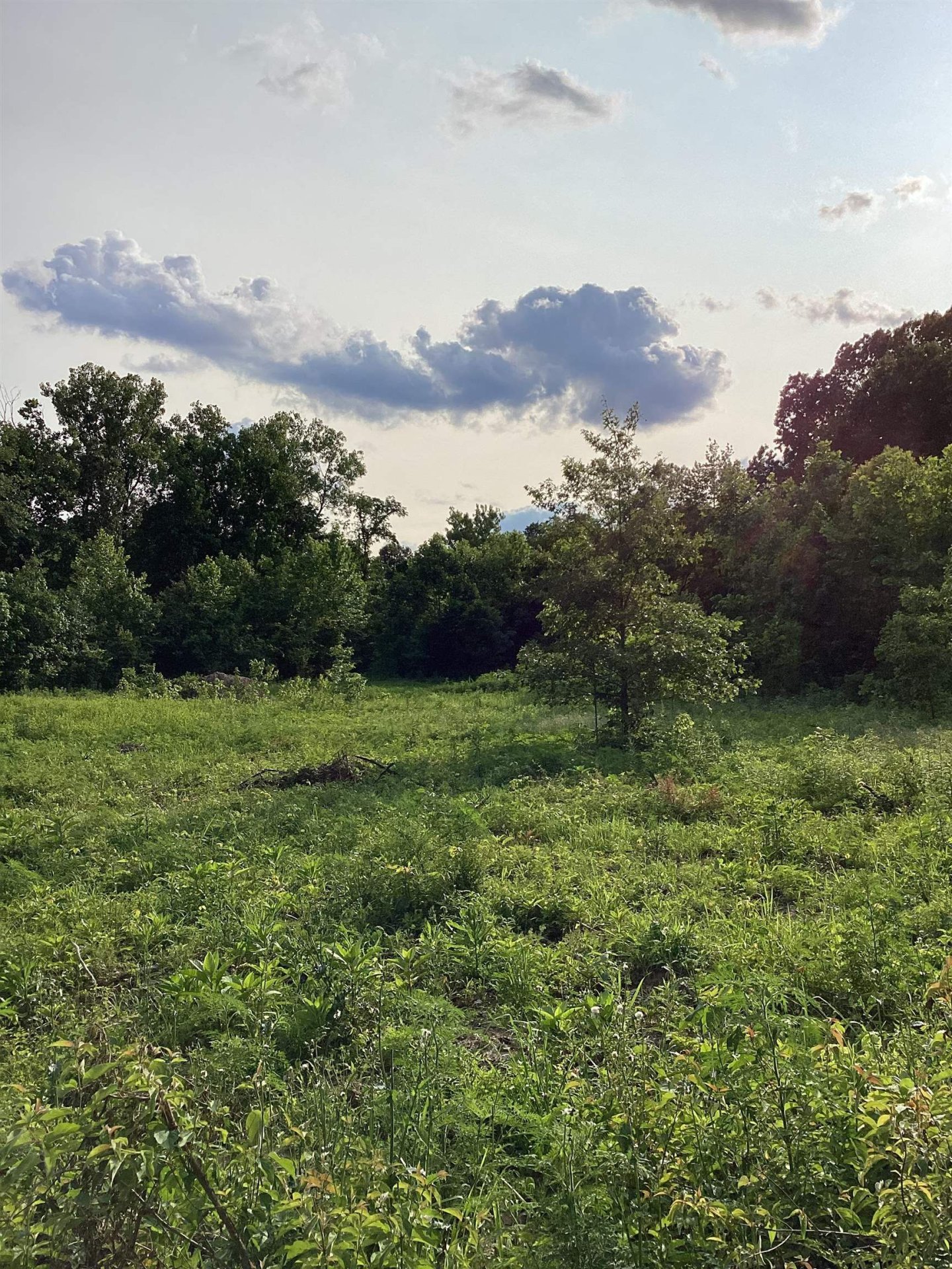 ROLLING OAKS, Munford, TN, 38058