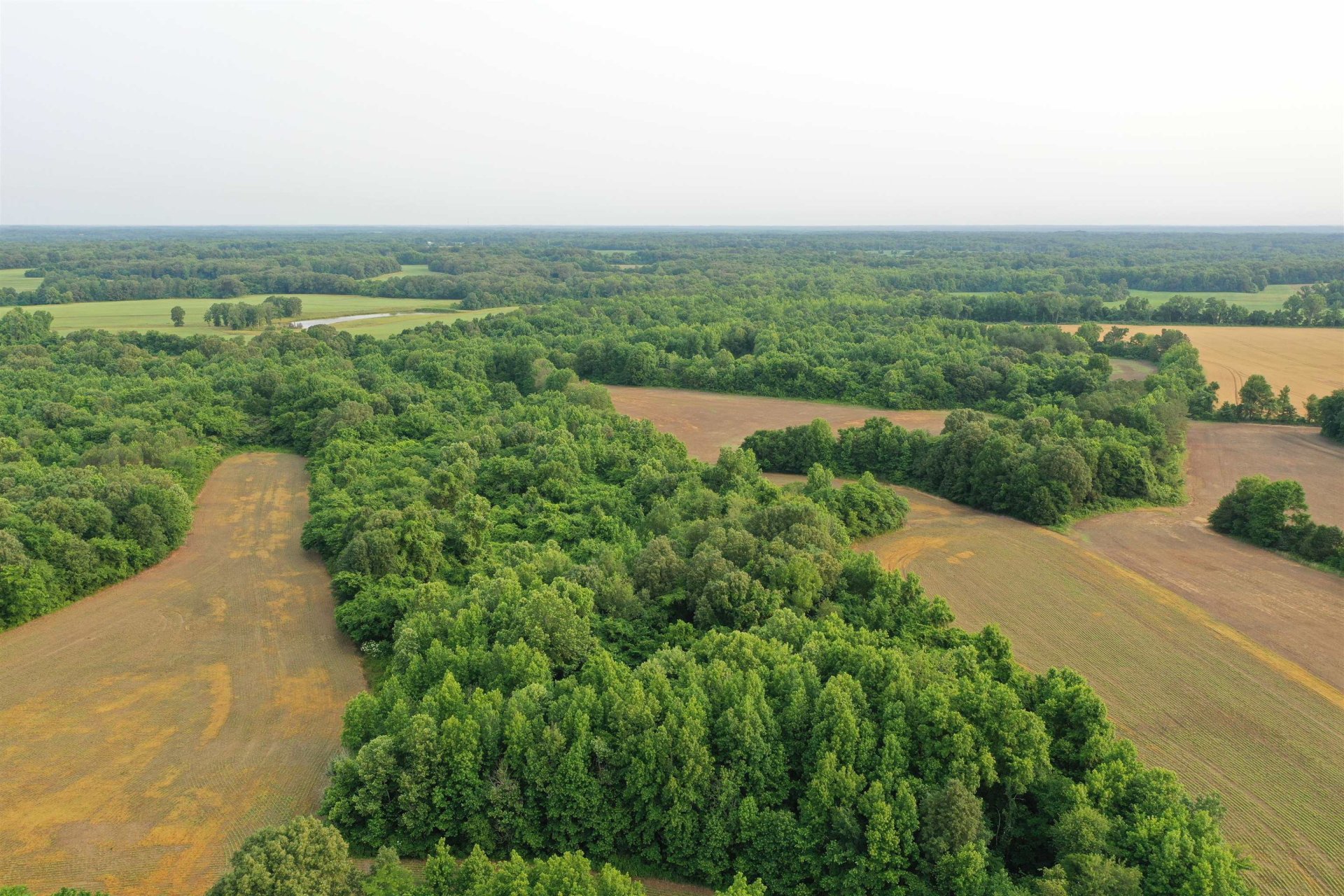 1858 DENMARK JACKSON, Denmark, TN, 38391