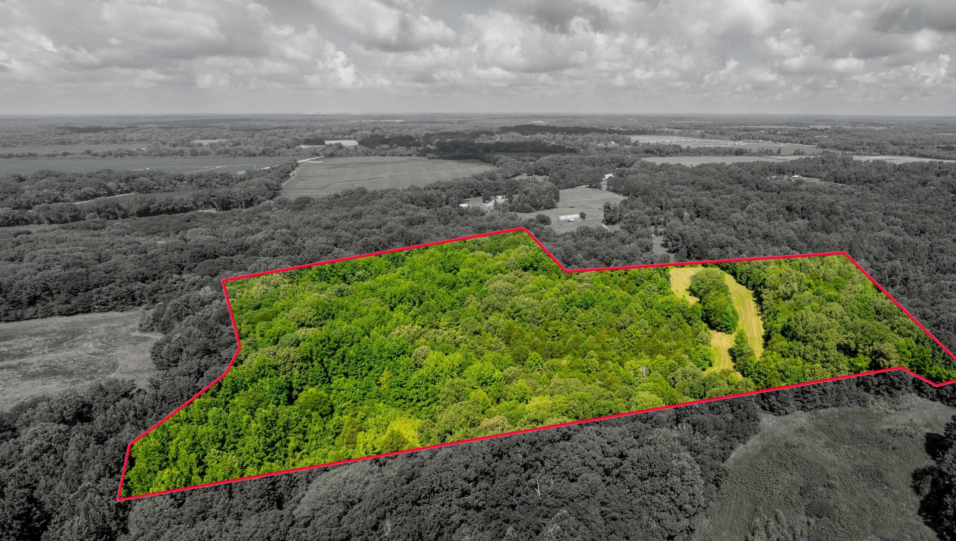 00 JIM HARDISTER, Whiteville, TN, 38075