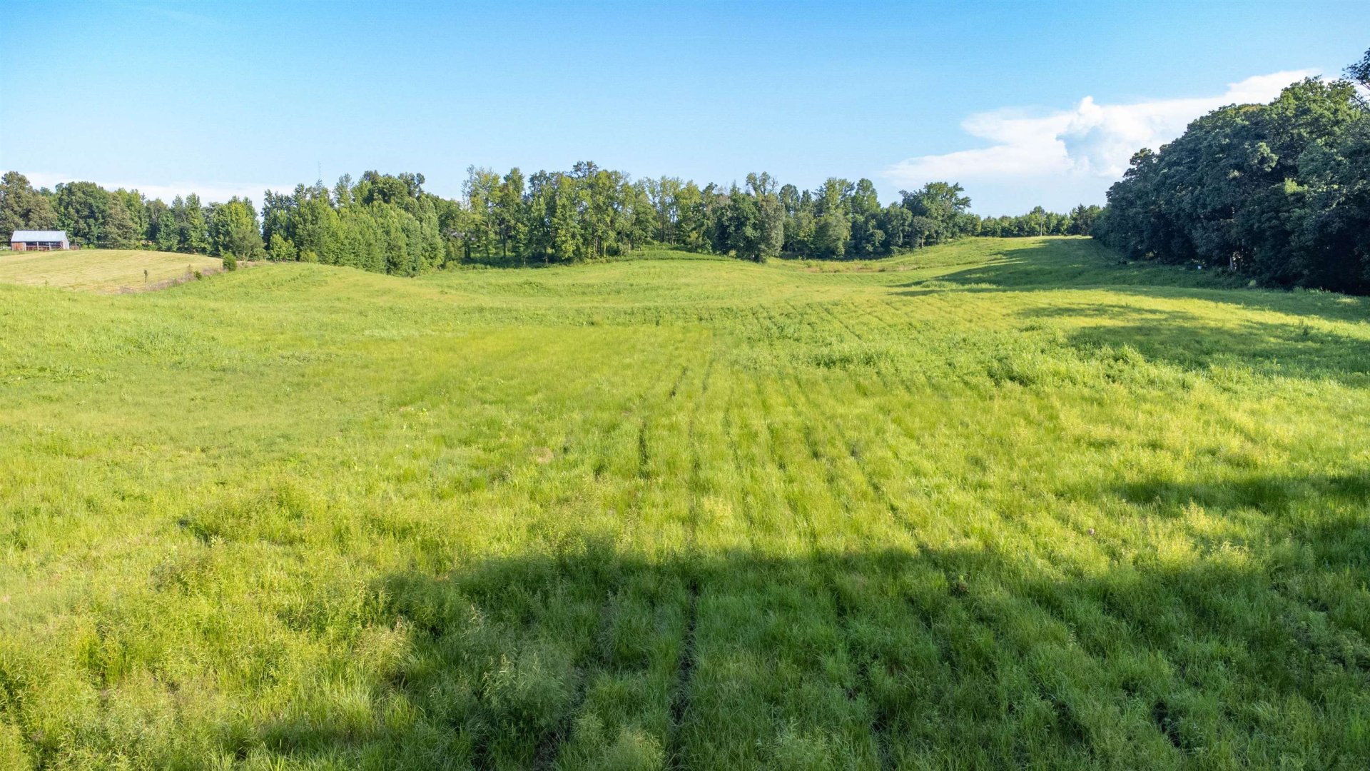 000 CONNER WHITEFIELD, Ripley, TN, 38063