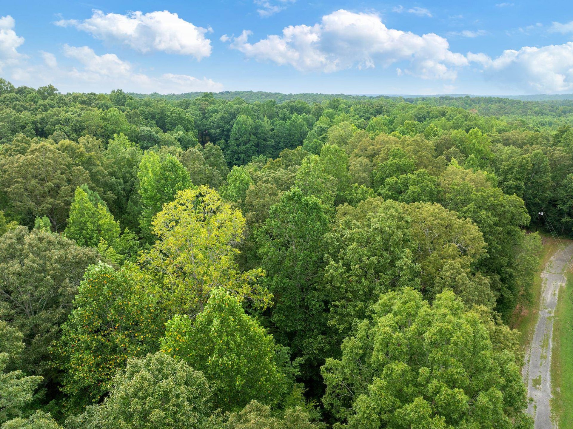 213 JASON HOLLOW, Cedar Grove, TN, 38321
