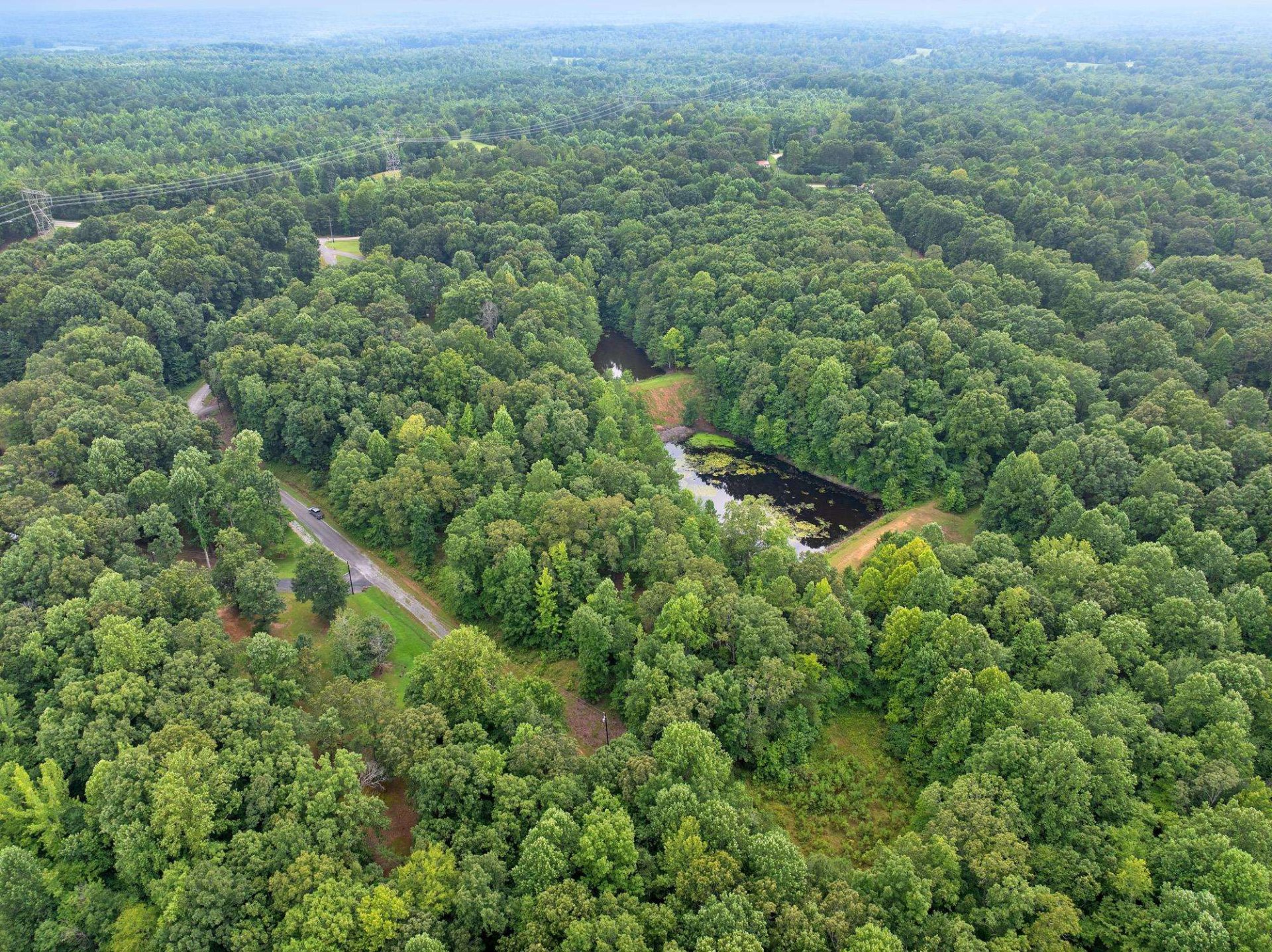 163 JASON HOLLOW, Cedar Grove, TN, 38321