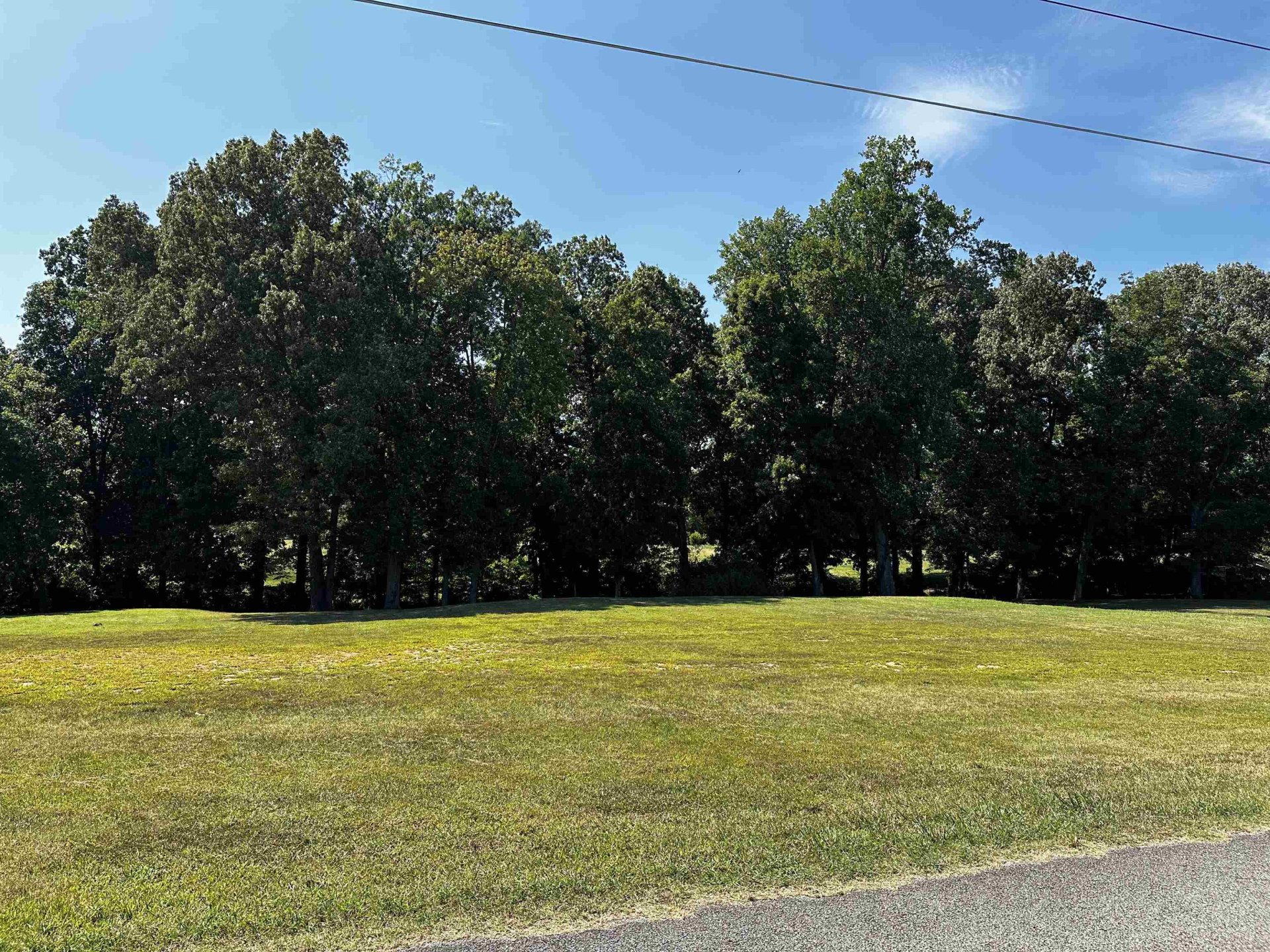 46 BLACKGUM, Brownsville, TN, 38012-0000