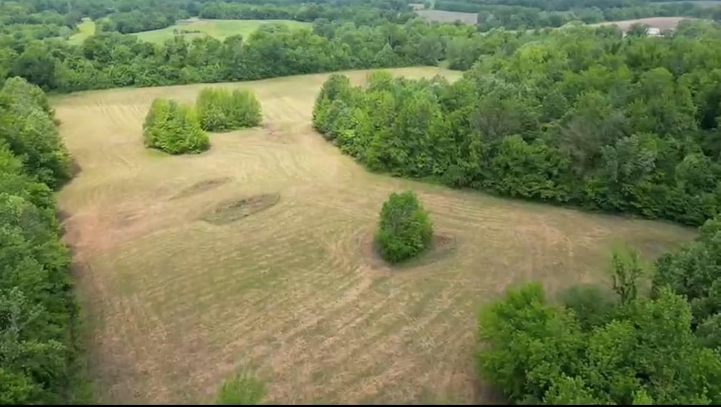 357 CHISHOLM LAKE, Ripley, TN, 38063