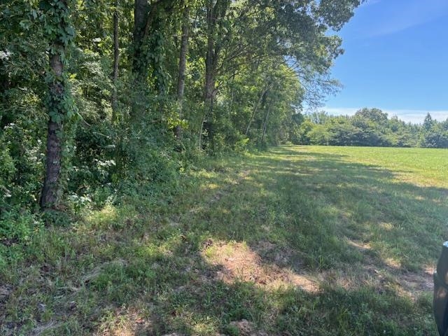 196 BOYD, Stanton, TN, 38069