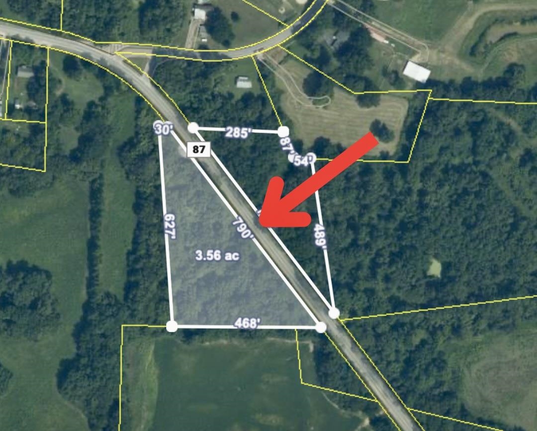 87, Henning, TN, 38041