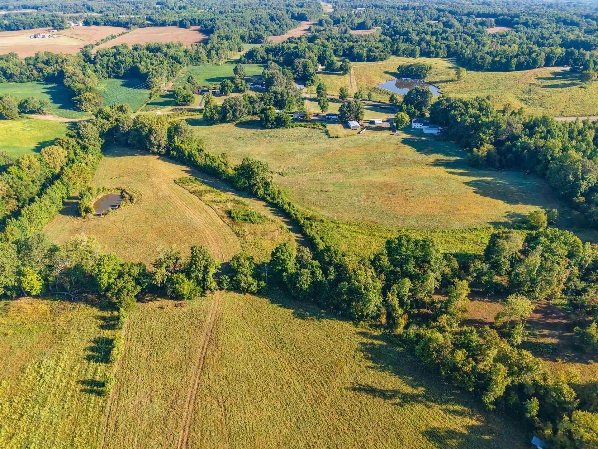 000 BLUEBIRD HILL, Ripley, TN, 38063