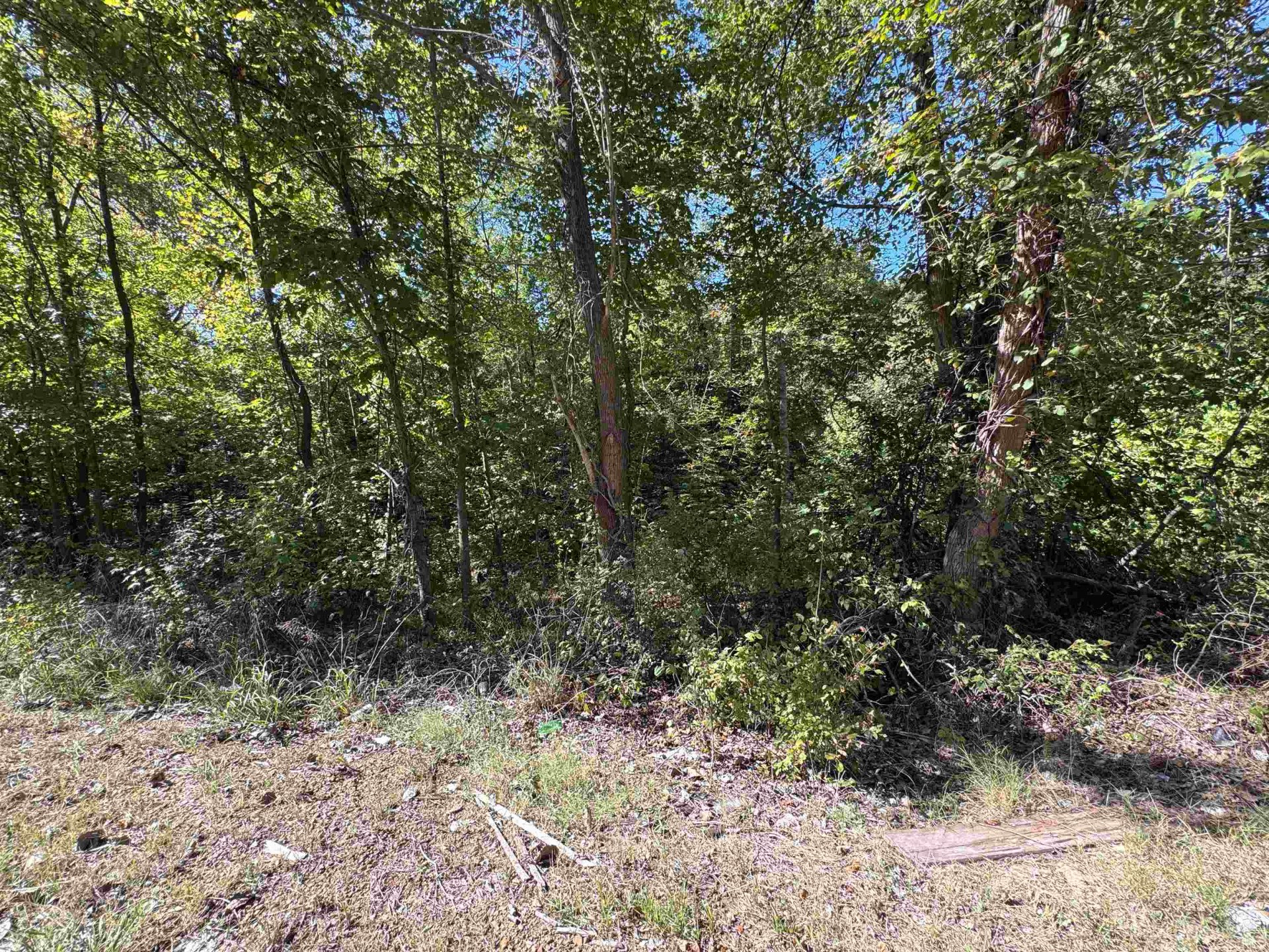 HWY 51, Munford, TN, 38058