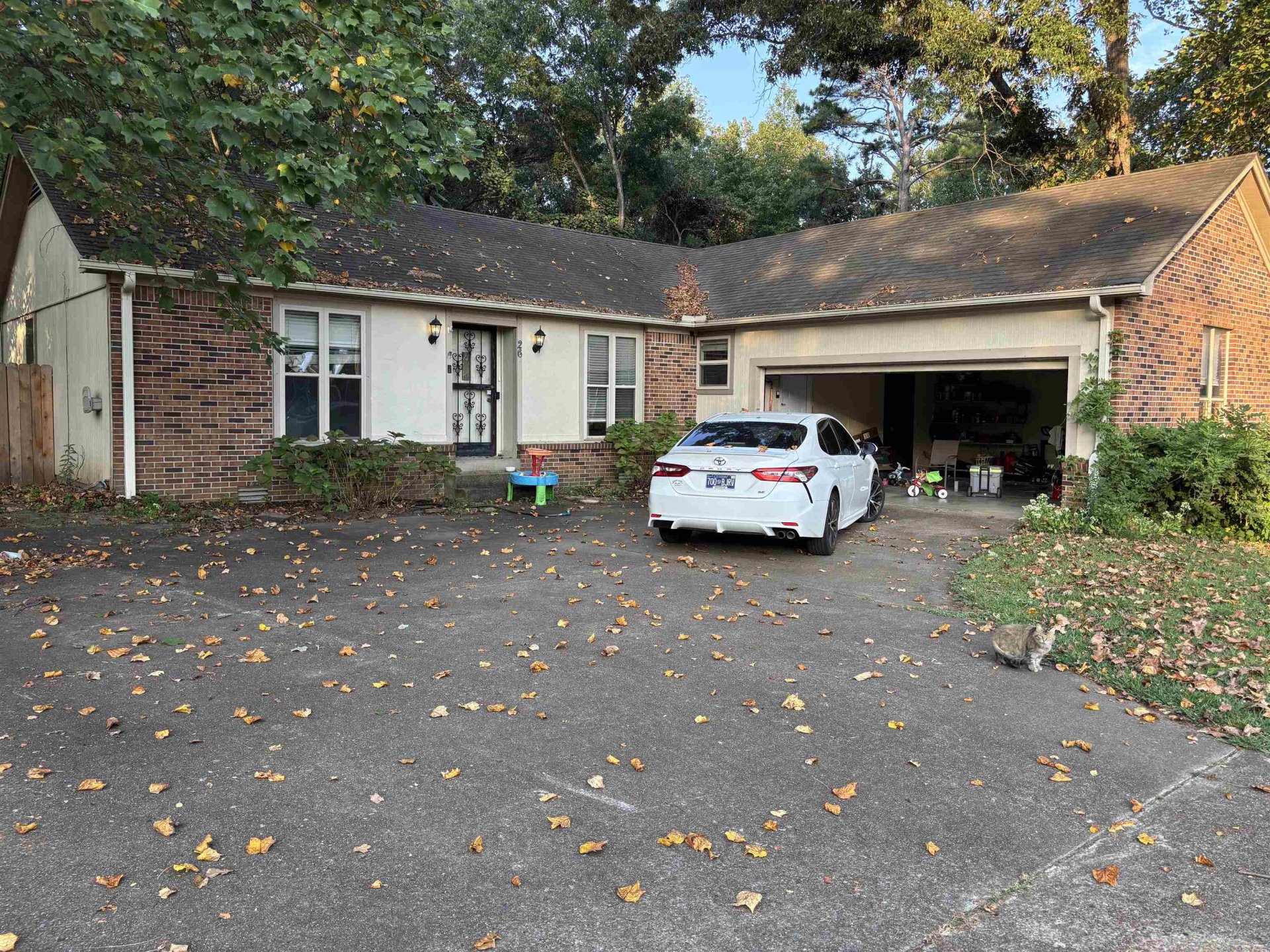 26 SYRINGA, Jackson, TN, 38305-9562