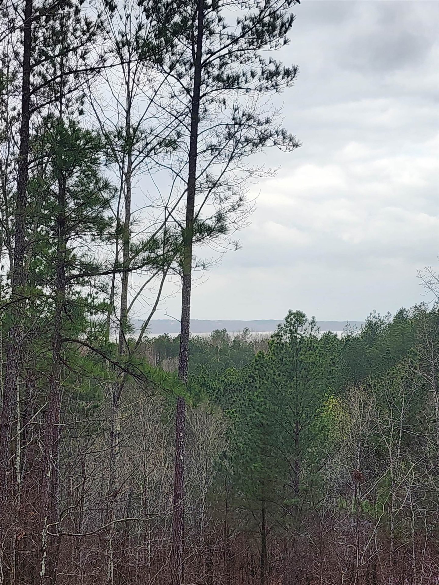LOT #5 EAGLE POINT, Cherokee, AL, 35616