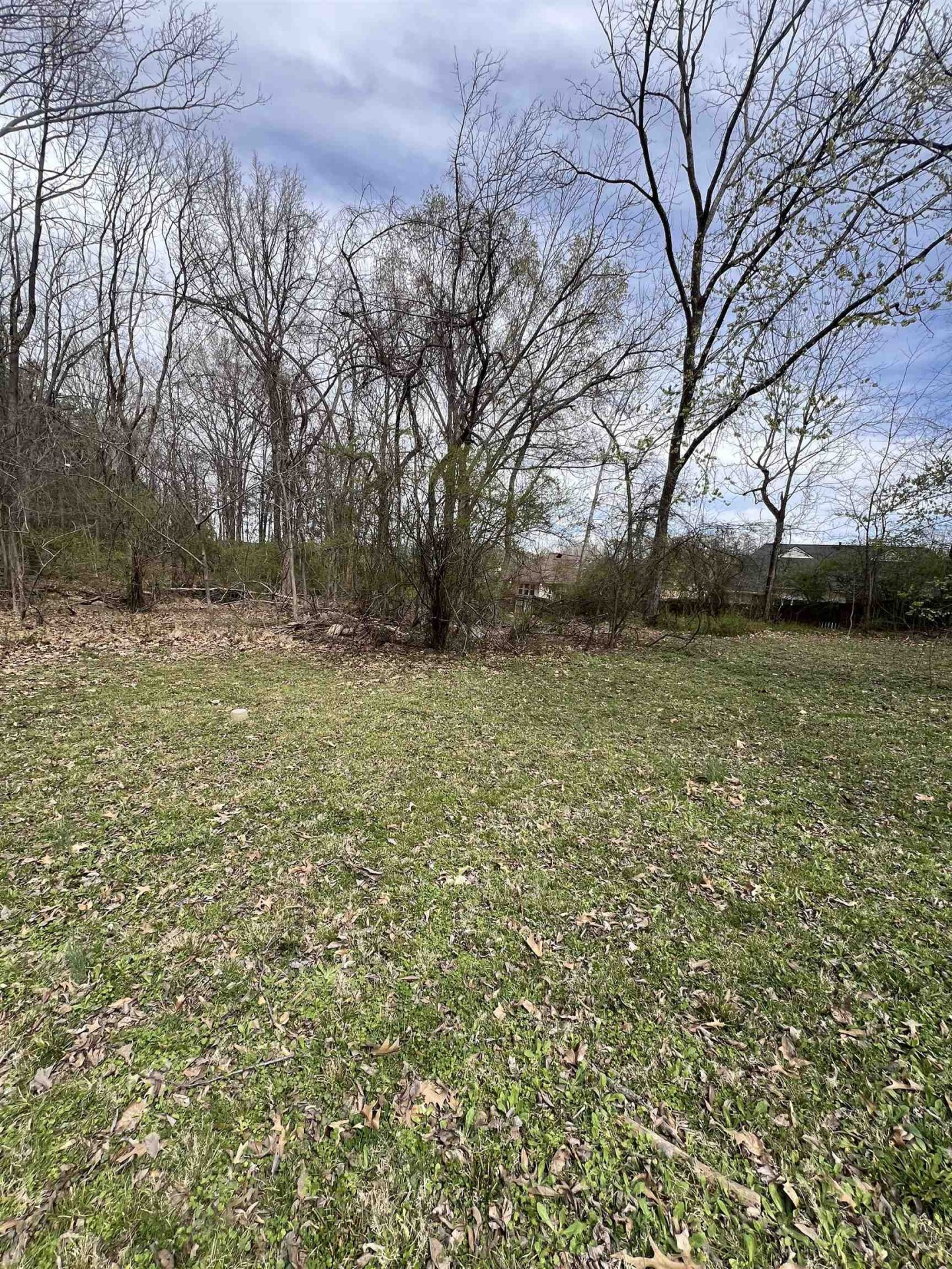 4382 ELLENDALE, Bartlett, TN, 38135