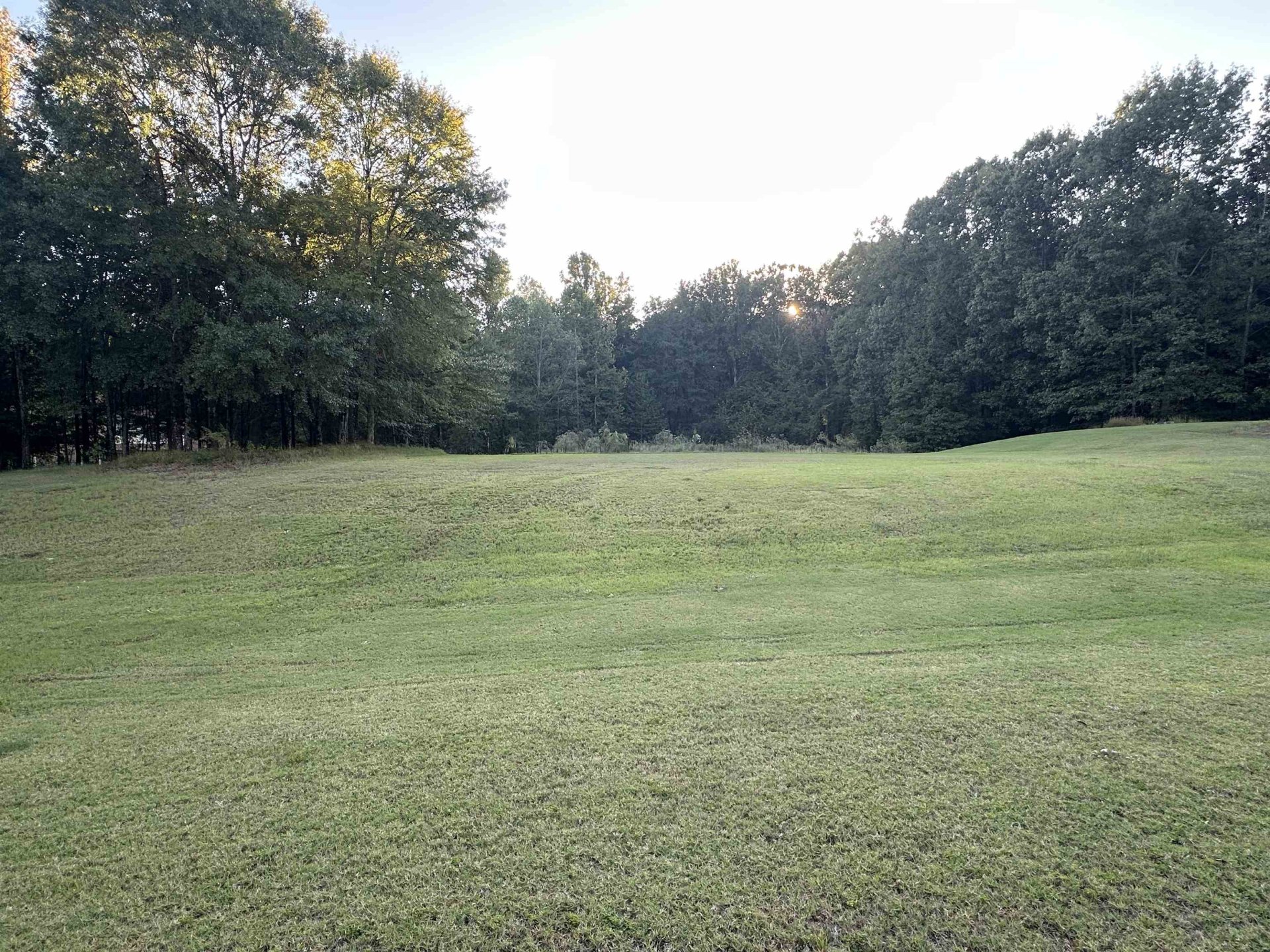 6339 ALTHORP, Lakeland, TN, 38002