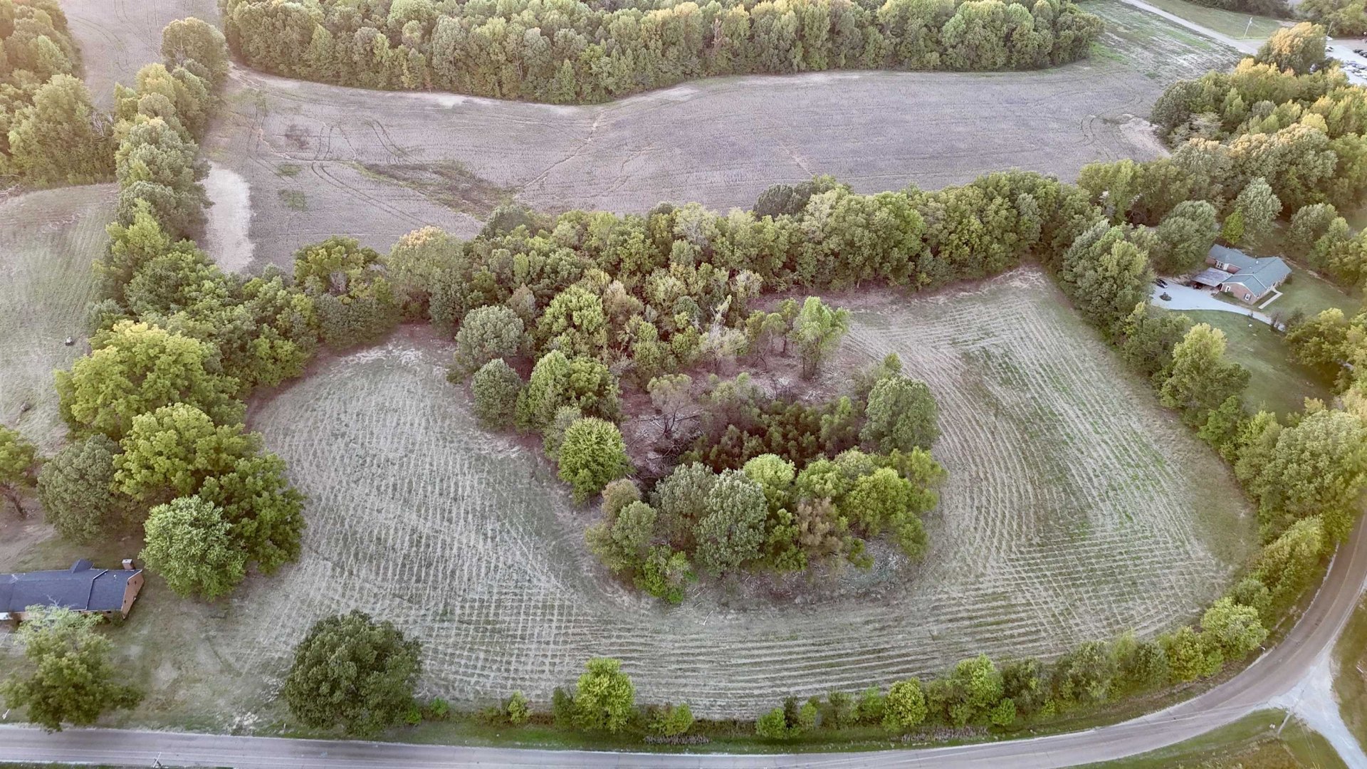 LUCY KELLY, Brighton, TN, 38011