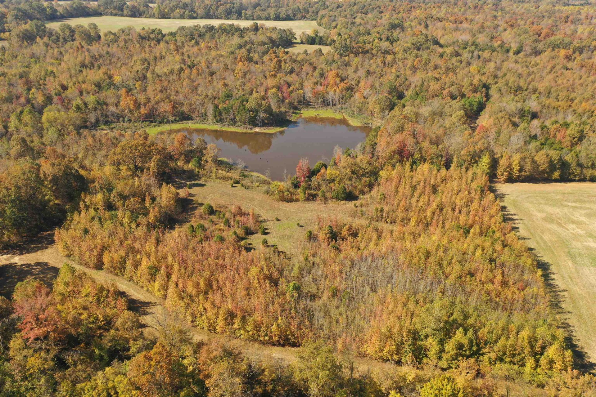 MCFADDEN, Oakland, TN, 38060