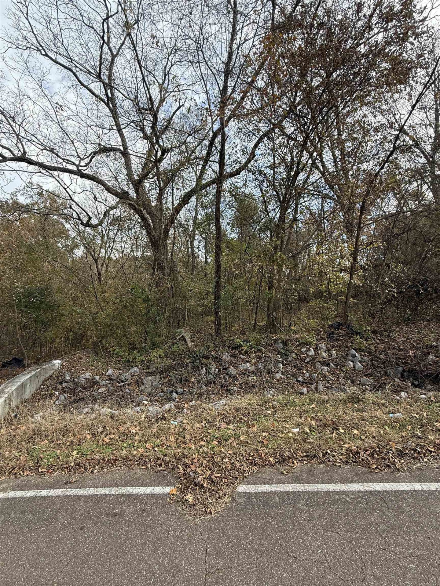 TICHENOR, Ripley, TN, 38063