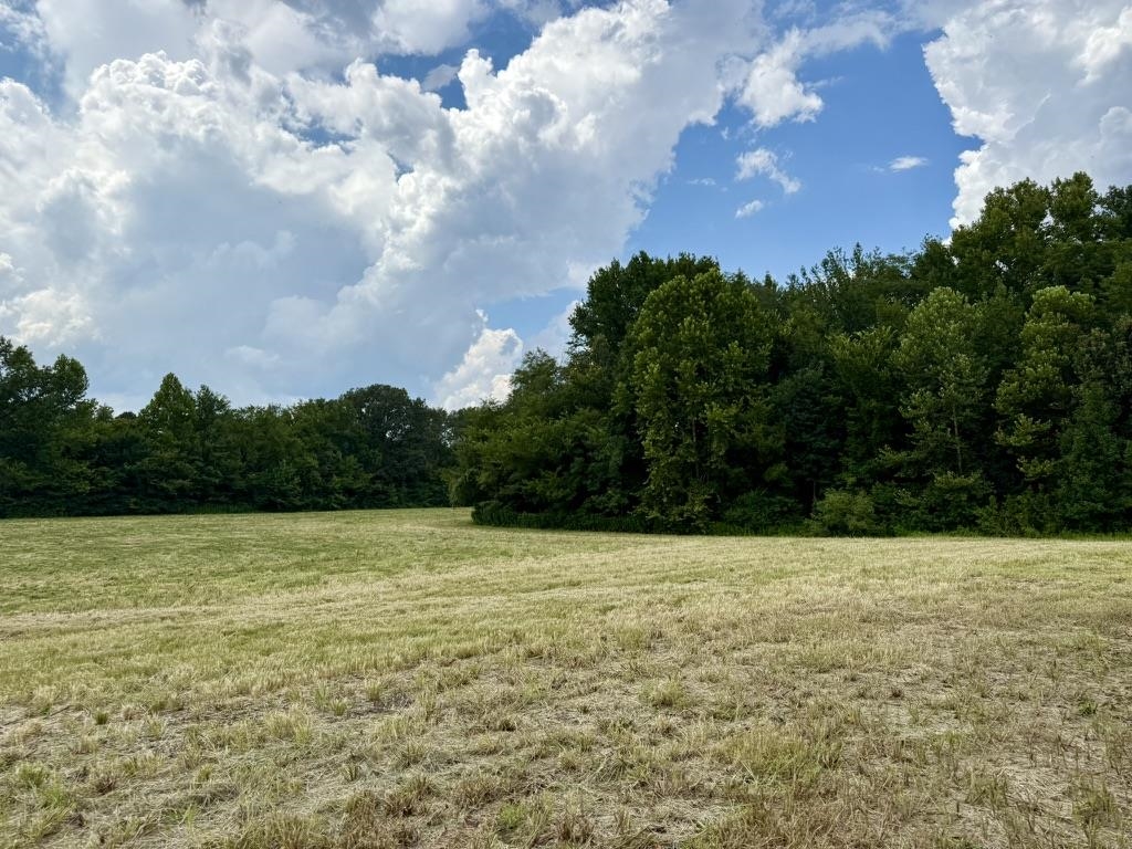 BELL GROVE, Oakland, TN, 38028