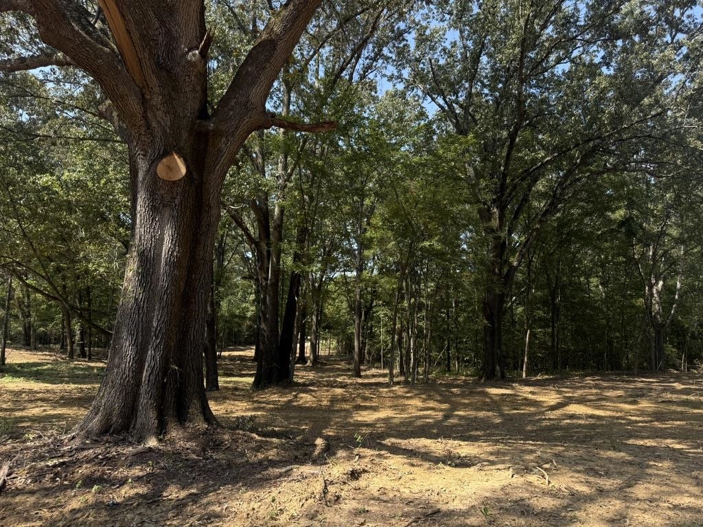 BELL GROVE, Oakland, TN, 38028