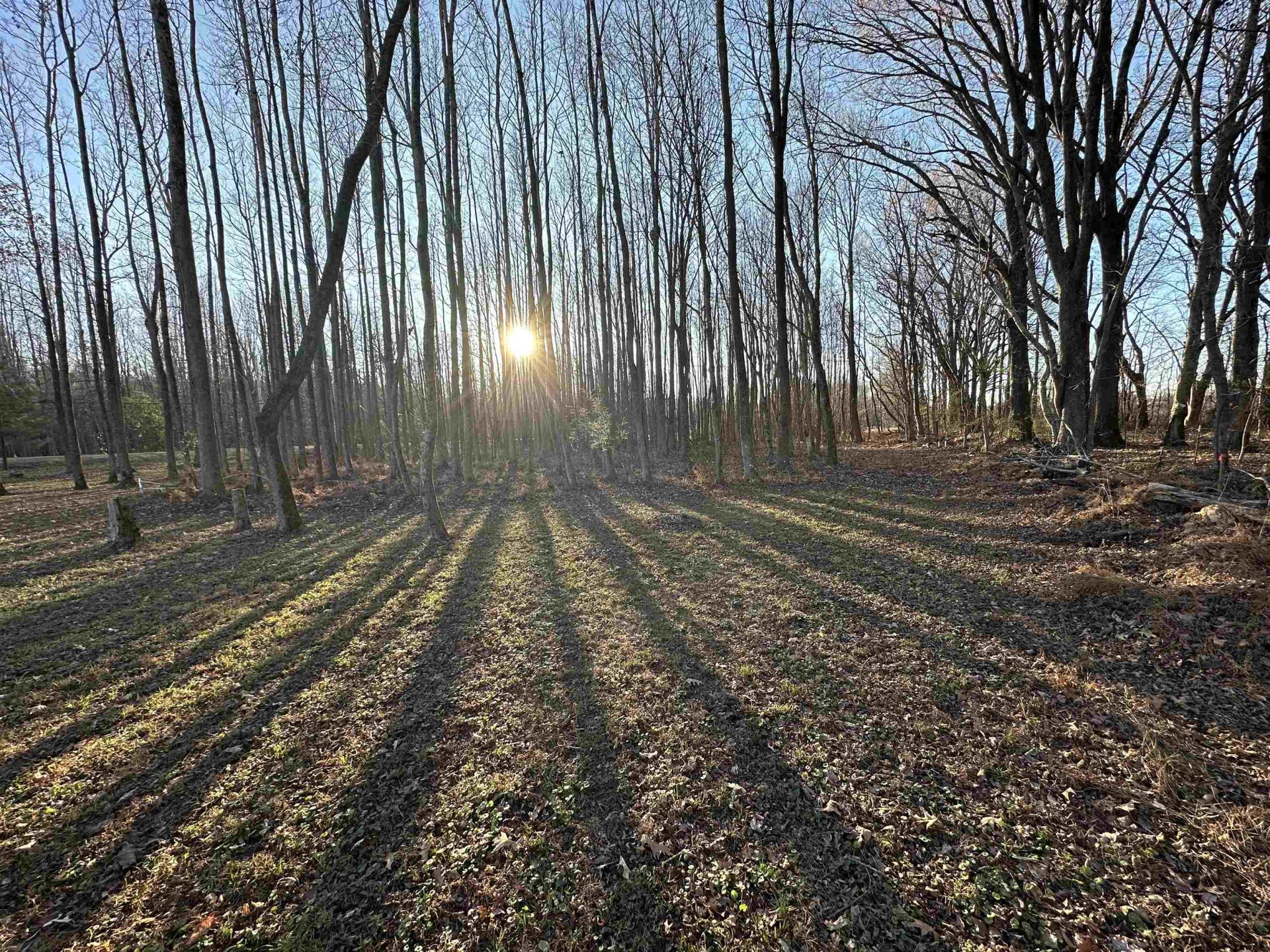 12570 PINCKLEY, Arlington, TN, 38002