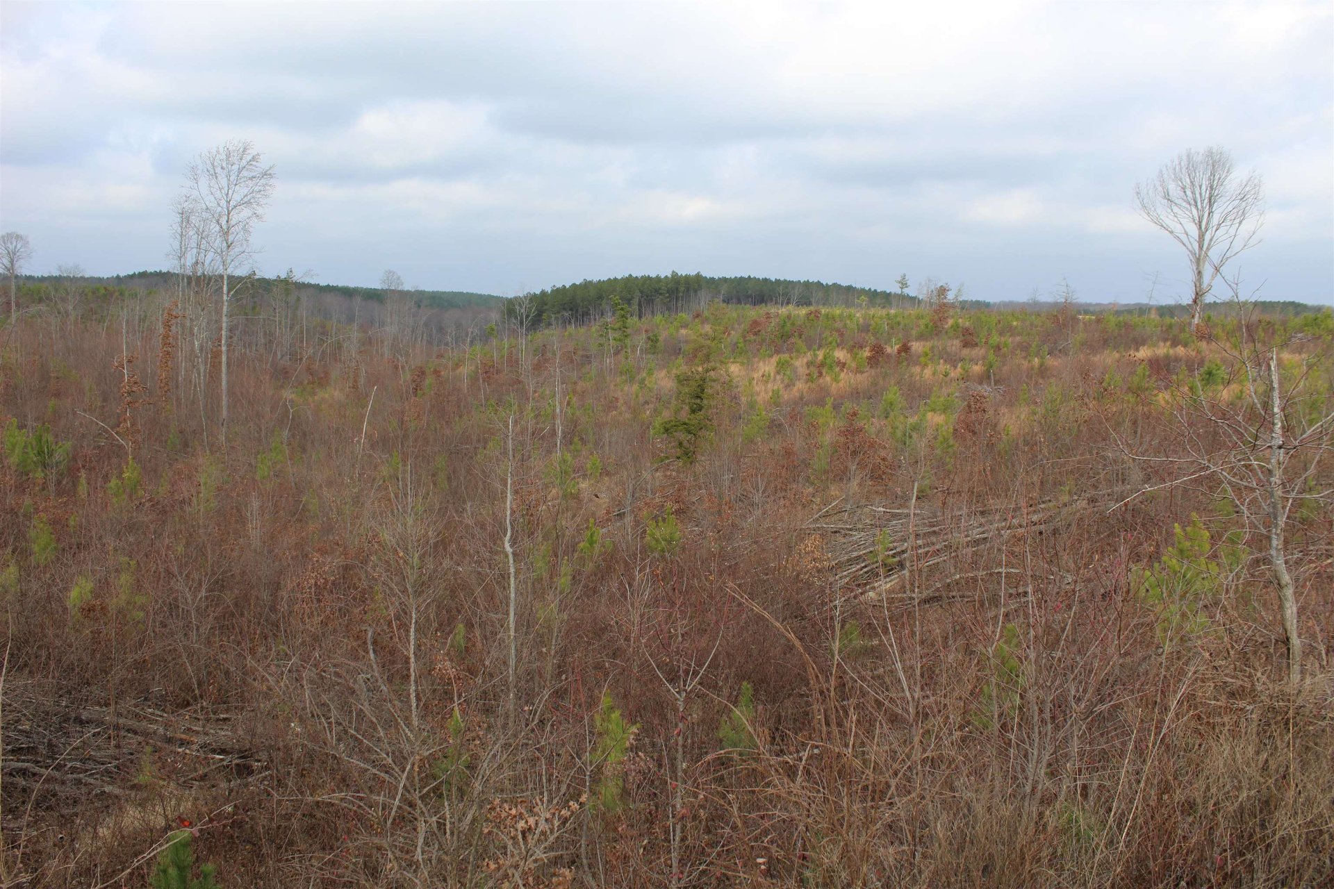 00 ROCKPORT MCILLWAIN, Holladay, TN, 38341