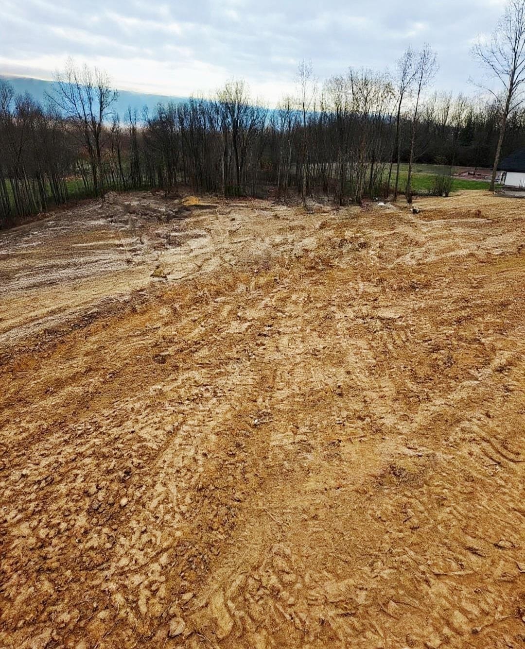 BRIGHTON CLOPTON, Brighton, TN, 38011