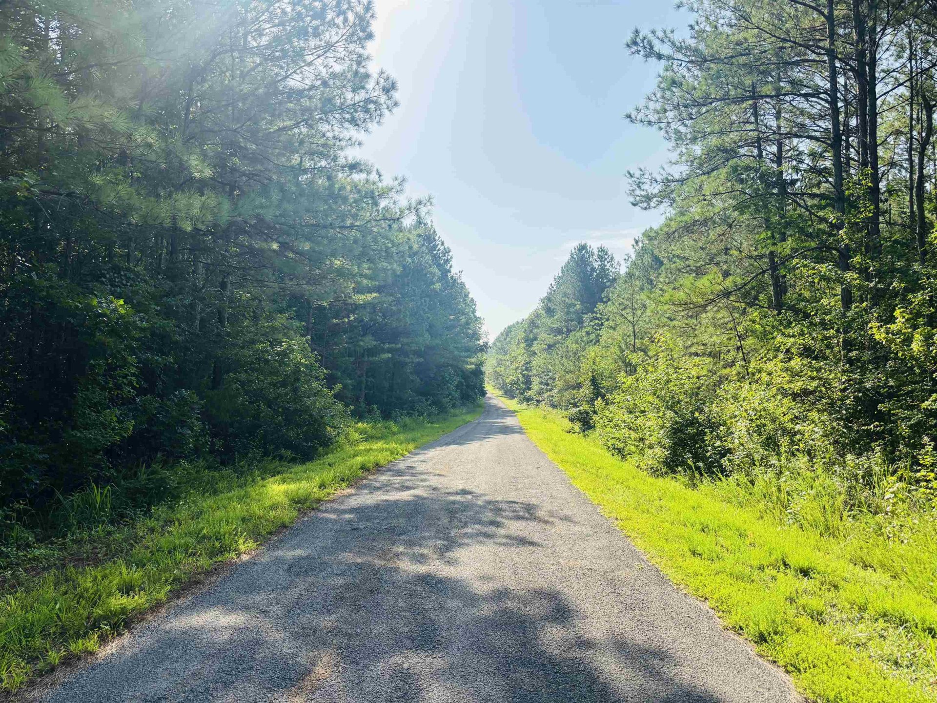 OLD LULA, Reagan, TN, 38368