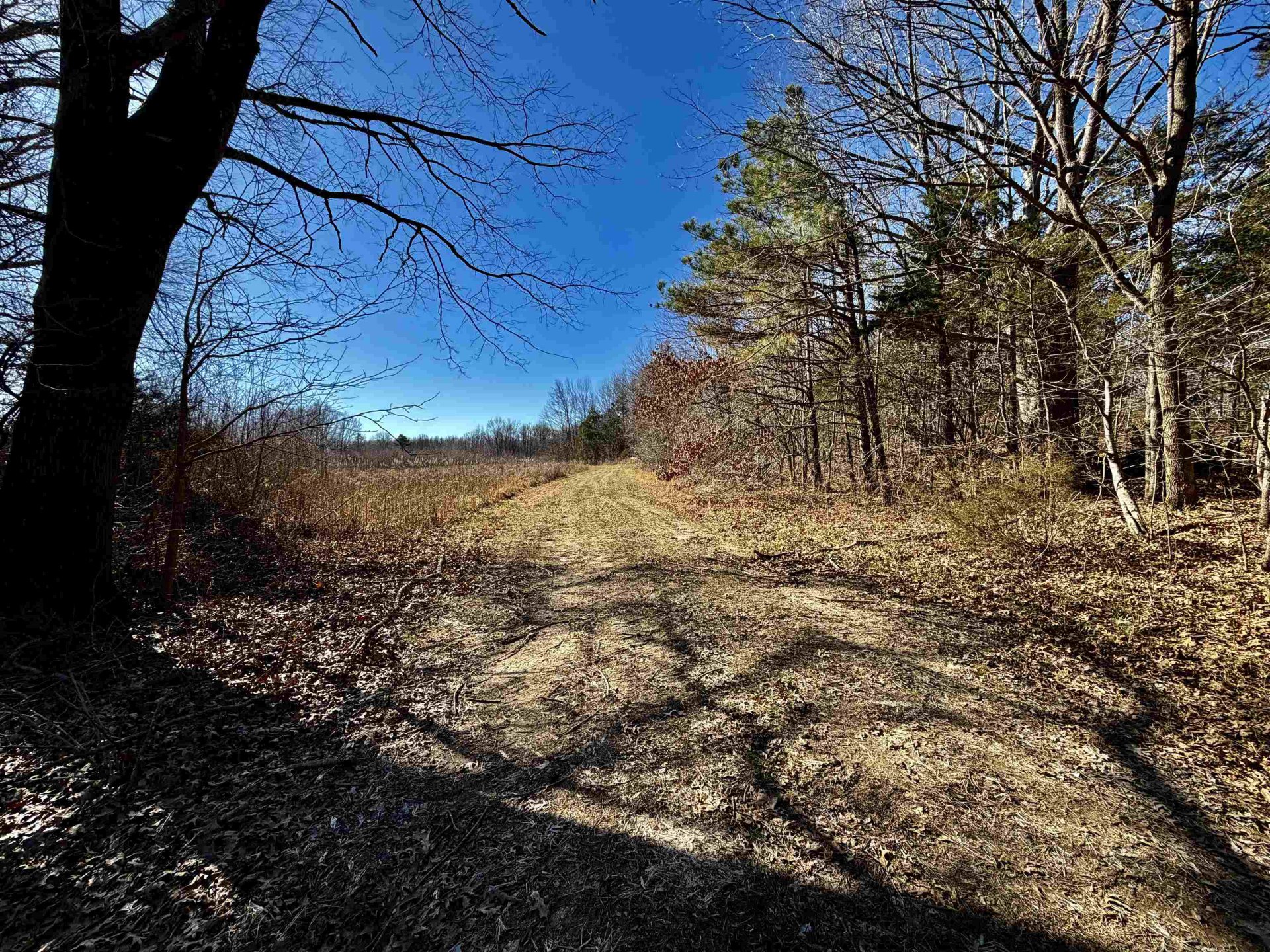 40.29 AC OLD BROWNSVILLE, Somerville, TN, 38068