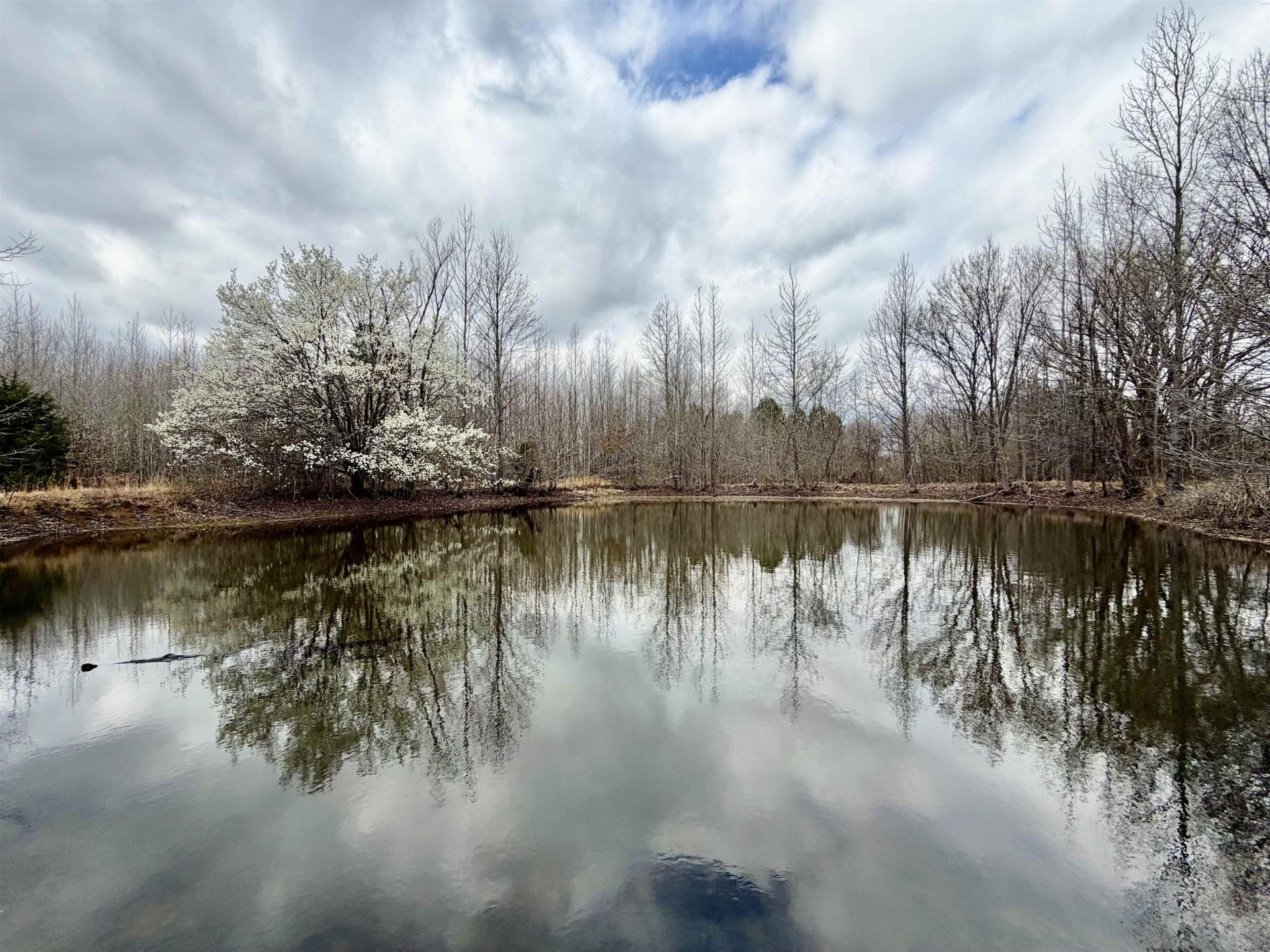 9870 MOOSE, Millington, TN, 38053