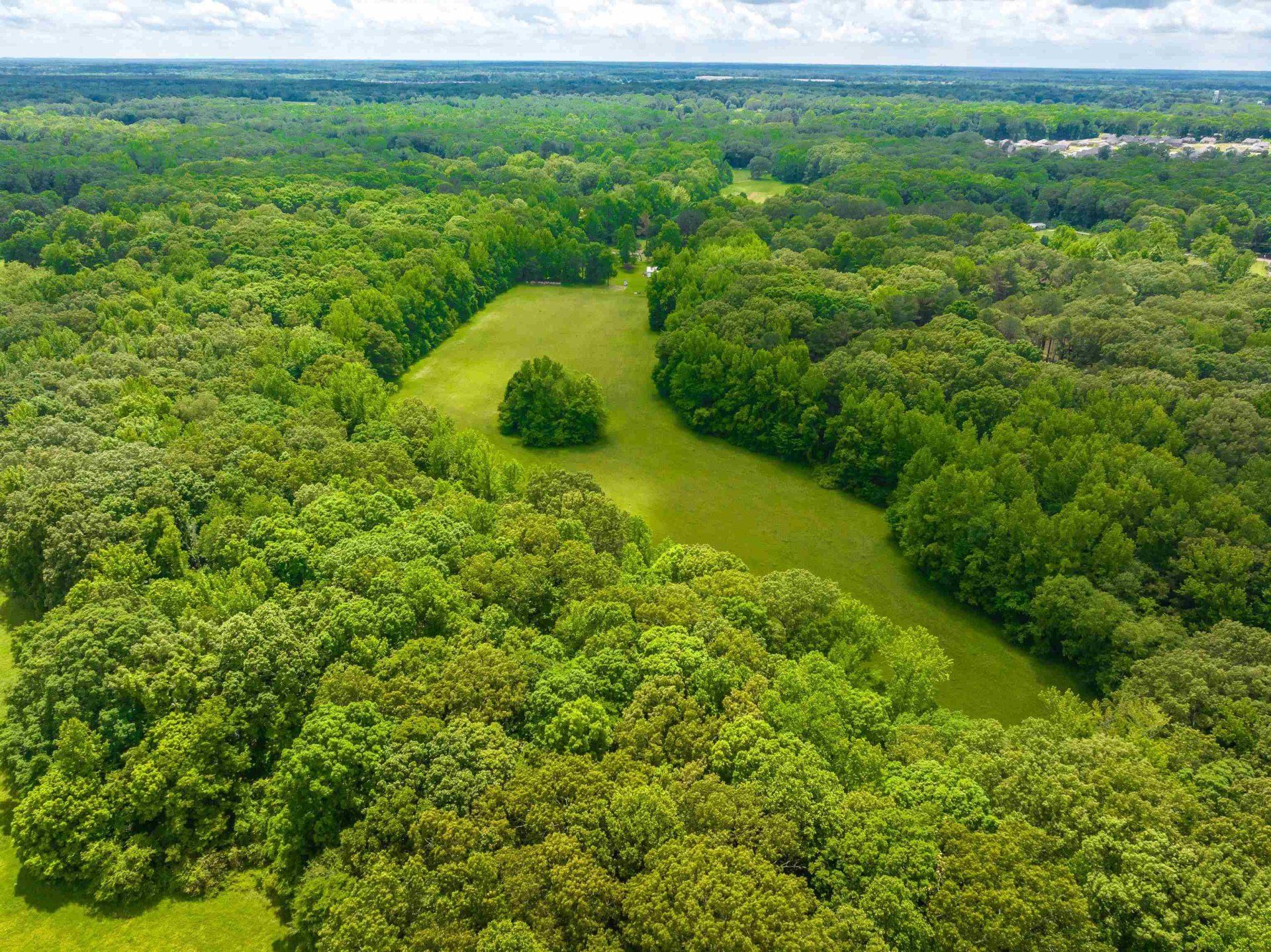 25 ACRES DOGWOOD, Somerville, TN, 38068-5672