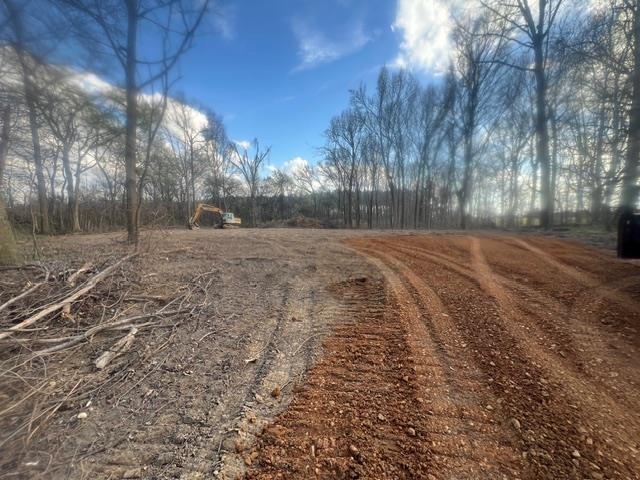 LOT 1 BRAMMER, Mason, TN, 38049