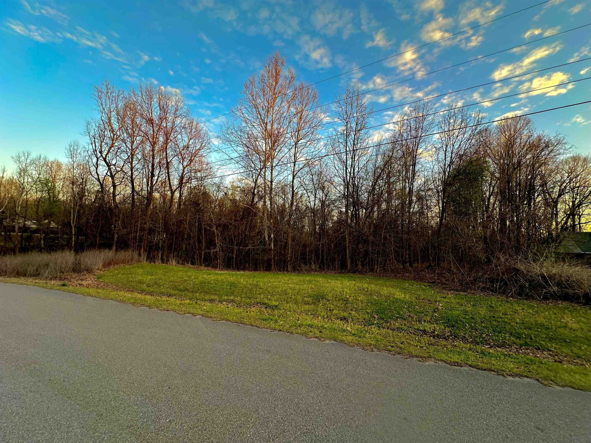 00 SUSAN, Drummonds, TN, 38023