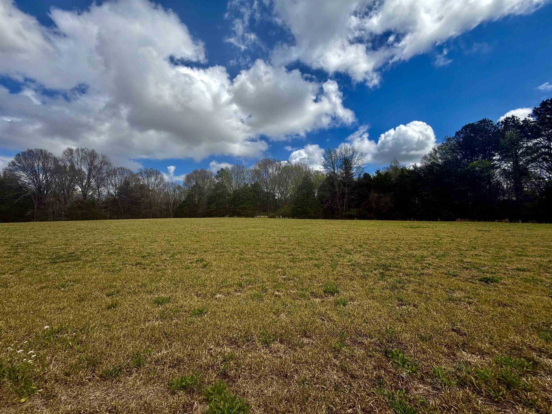 8.19 AC FEATHERS CHAPEL, Somerville, TN, 38068