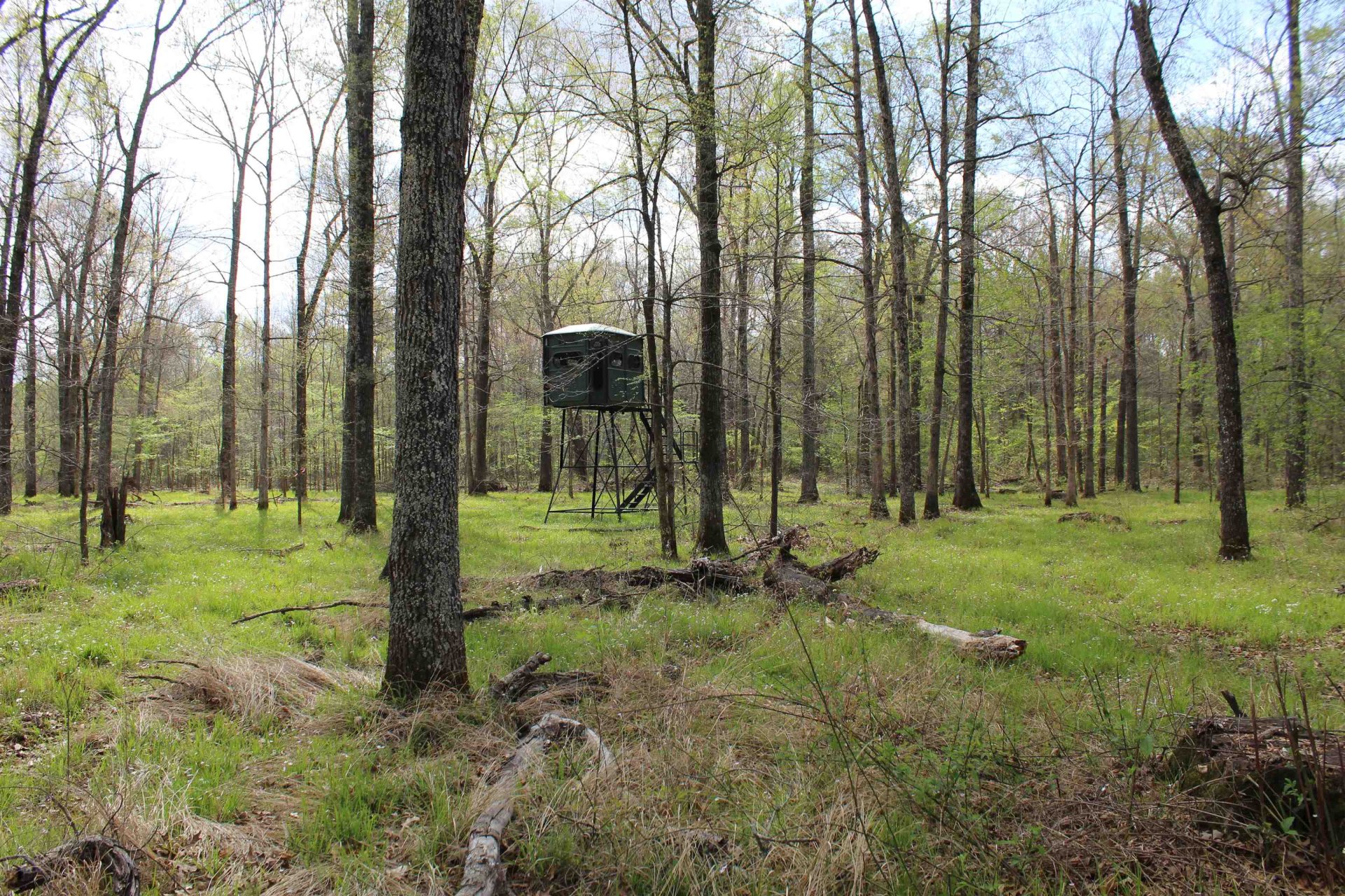 000 ESTANAULA, Brownsville, TN, 38012