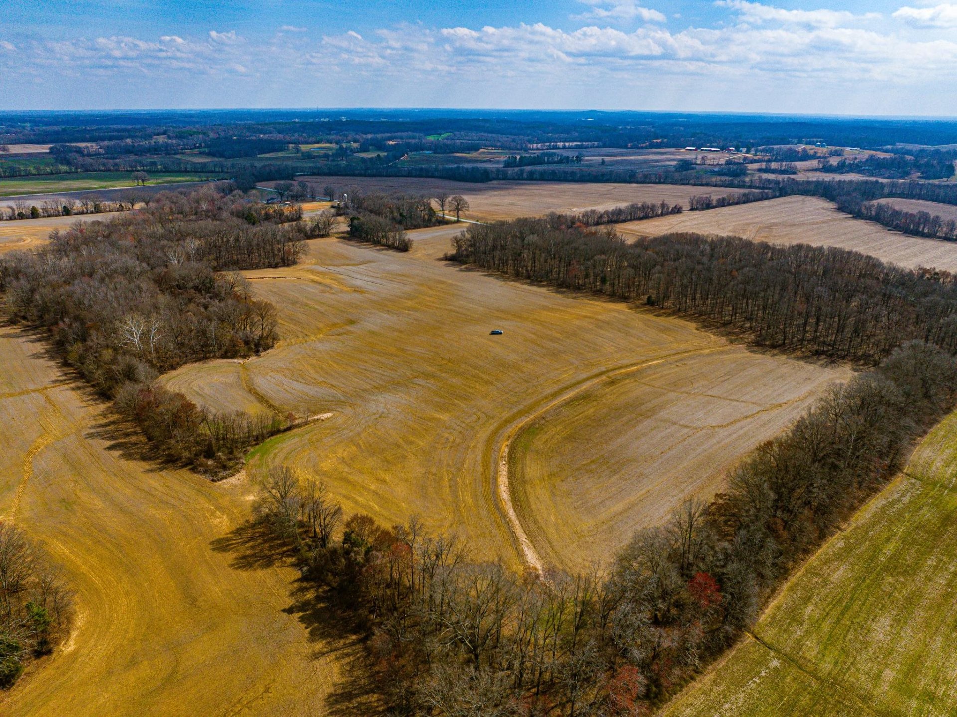 GEORGE BUTLER, Bradford, TN, 38316