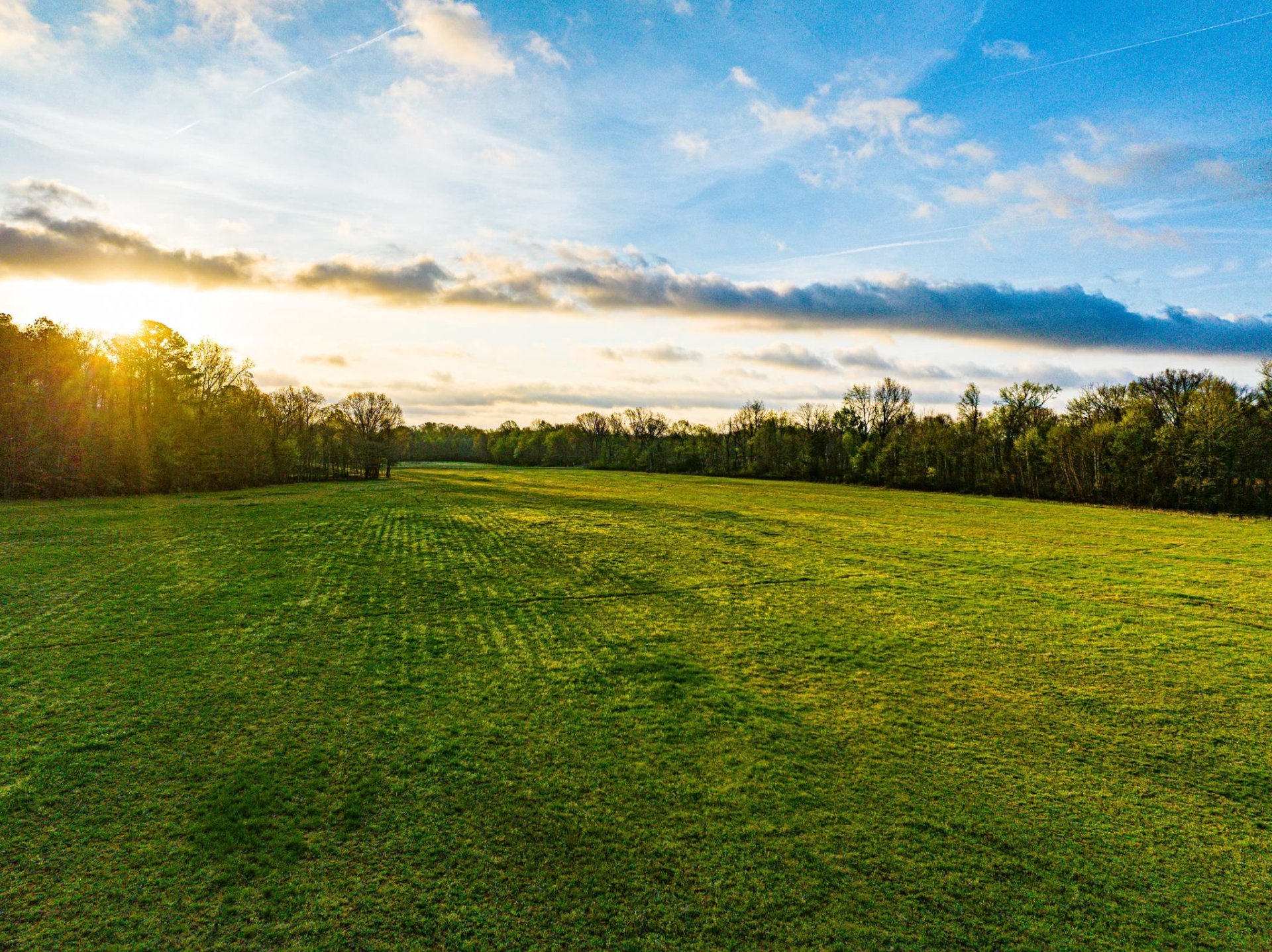 153 HARRISON, Martin, TN, 38237