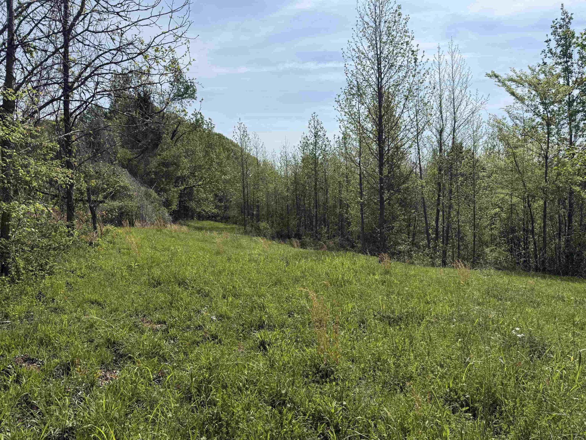 00 NEEDHAM, Unincorporated, TN, 38023