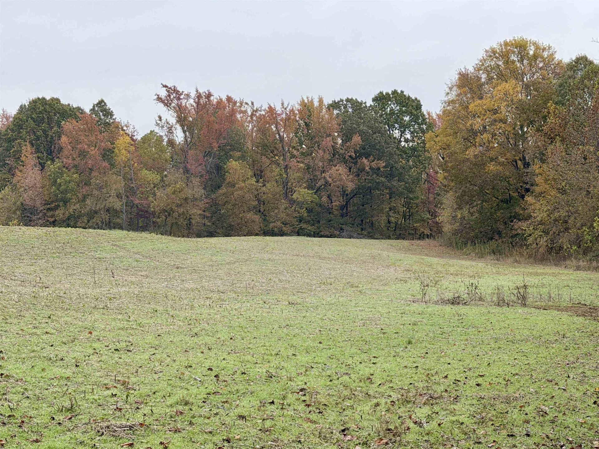WILLIAM SWITCH, Henning, TN, 38041