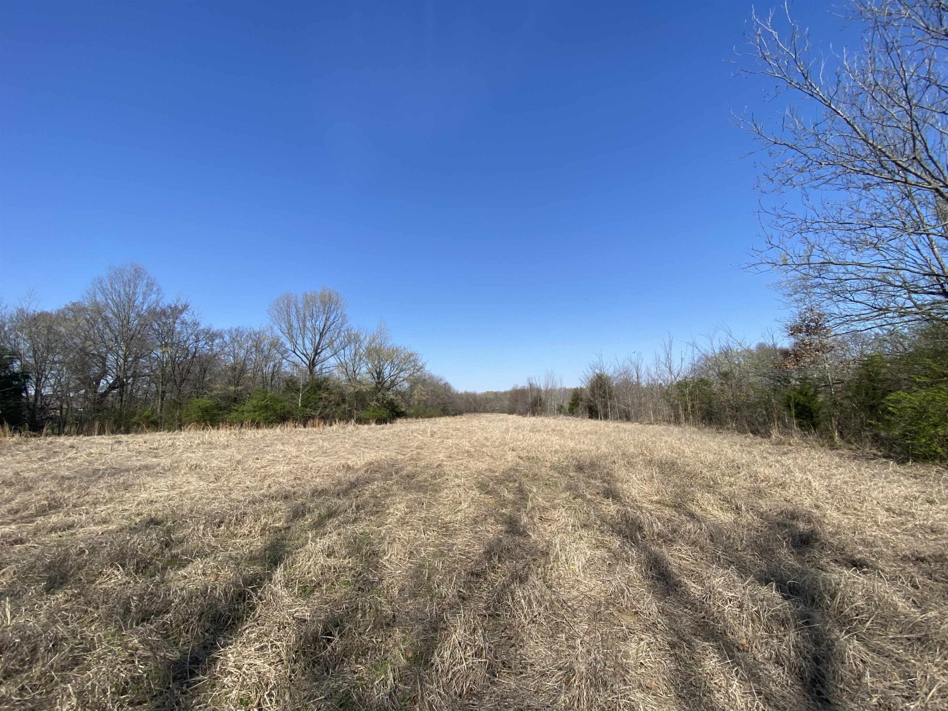 12.79 AC WIRT, Oakland, TN, 38060